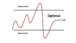 Diagram of window of tolerance showing nervous system function