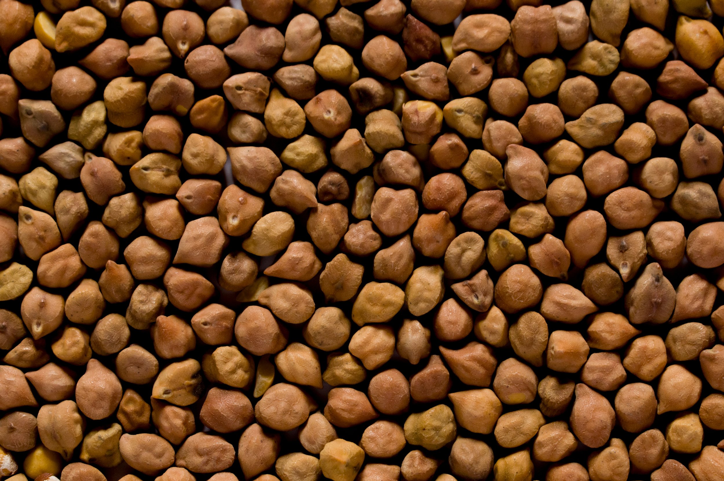 Australian chickpeas sourced from growers for global export markets