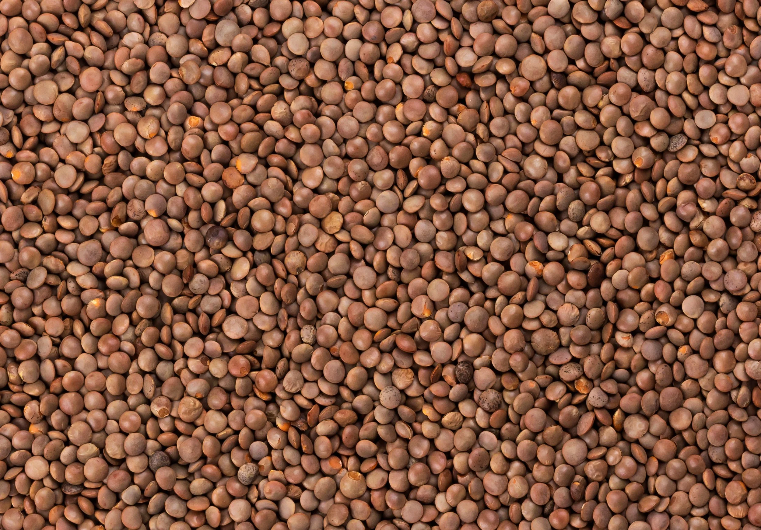 Australian lentils sourced for domestic and international commodity markets