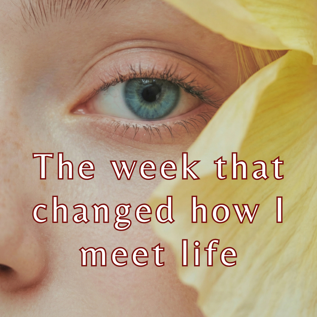 The week that changed how I meet life - a personal experience