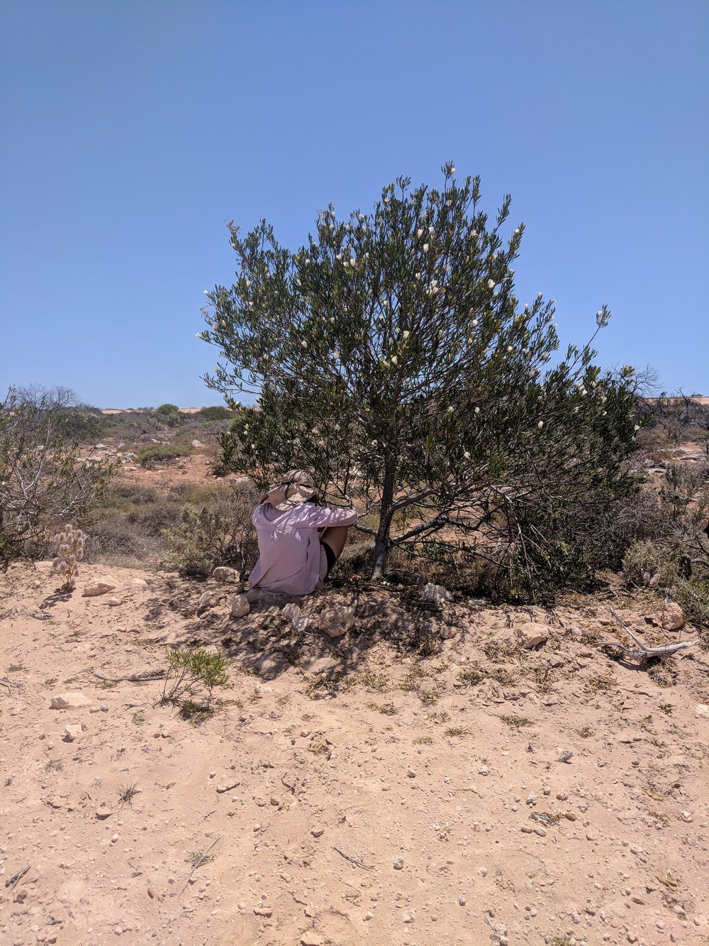  a particulary hot day with little shade means that whatever is around is used. Almost at Useless Loop 