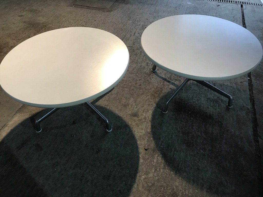 acanthe_EAMES_2.jpeg