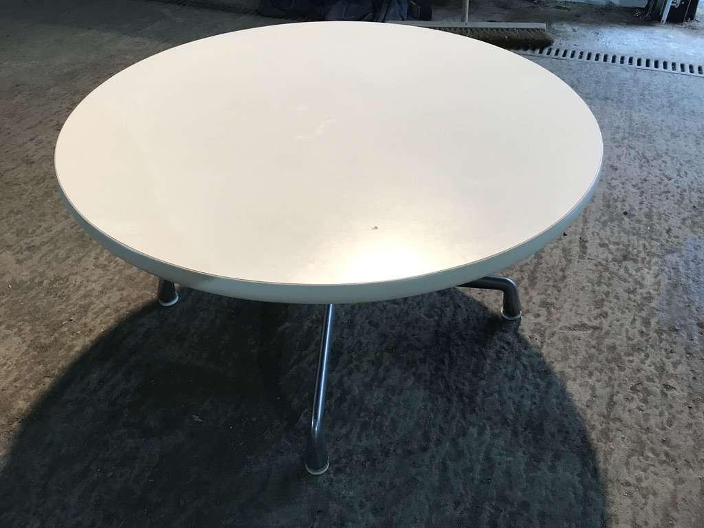 acanthe_EAMES_3.jpeg