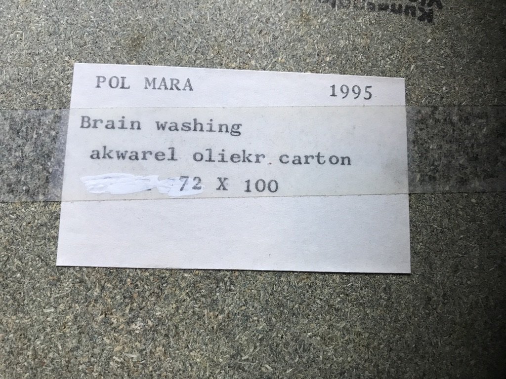 acanthe_pol_mara_4.jpeg