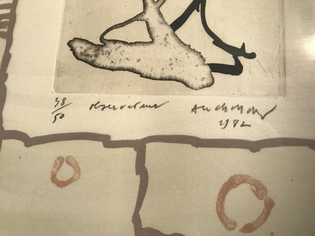 acanthe_PIERRE_ALECHINSKY_4.jpeg