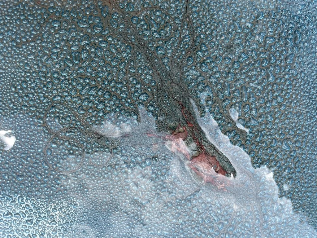 tables gigognes SELTZ acanthe 7.jpeg