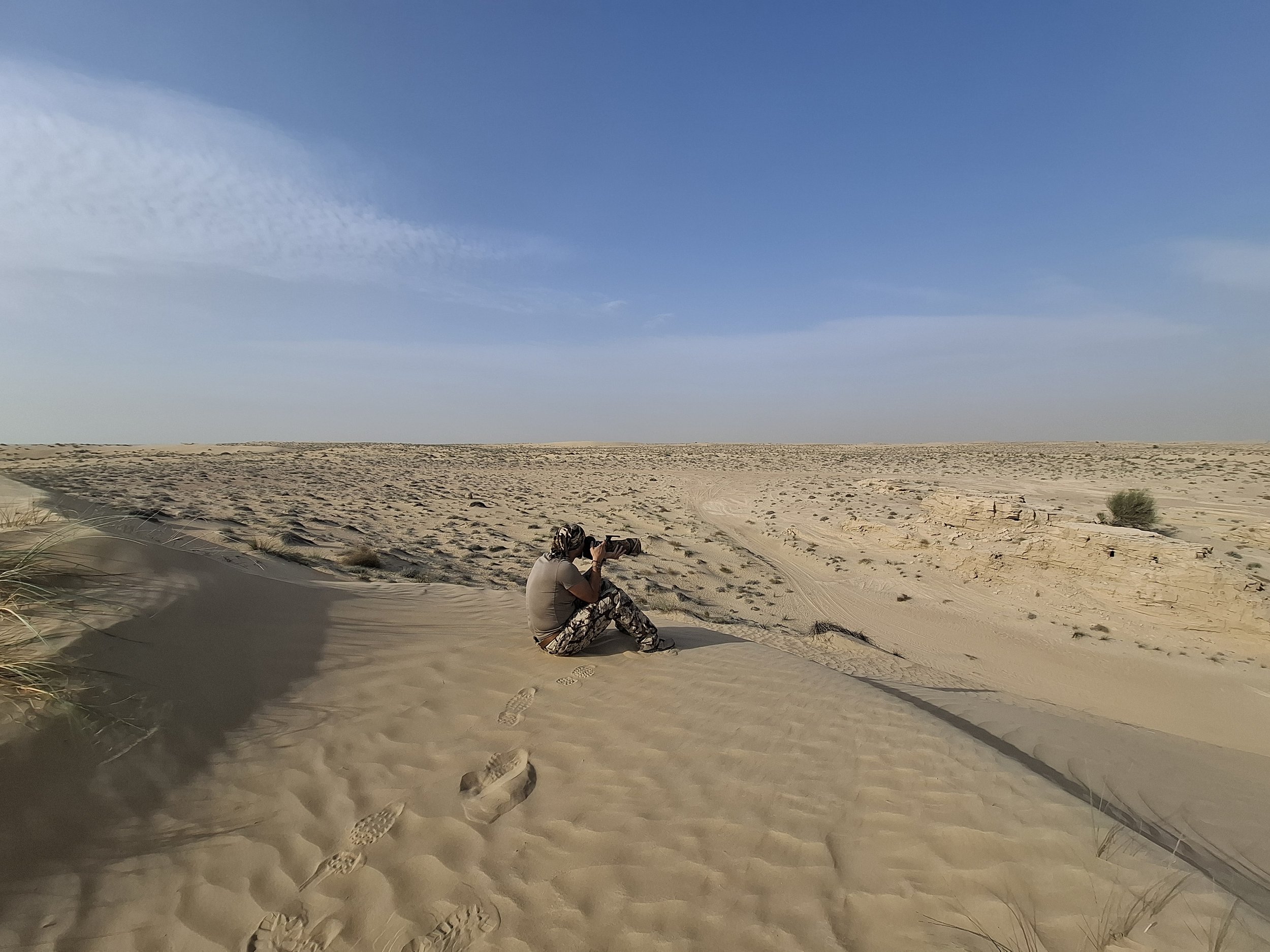 When the Field Falls Silent