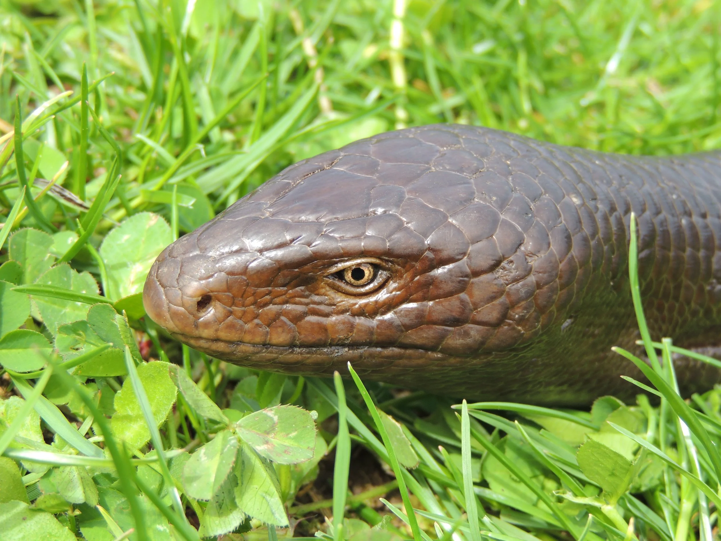 Photo Credit: Rami Khashab