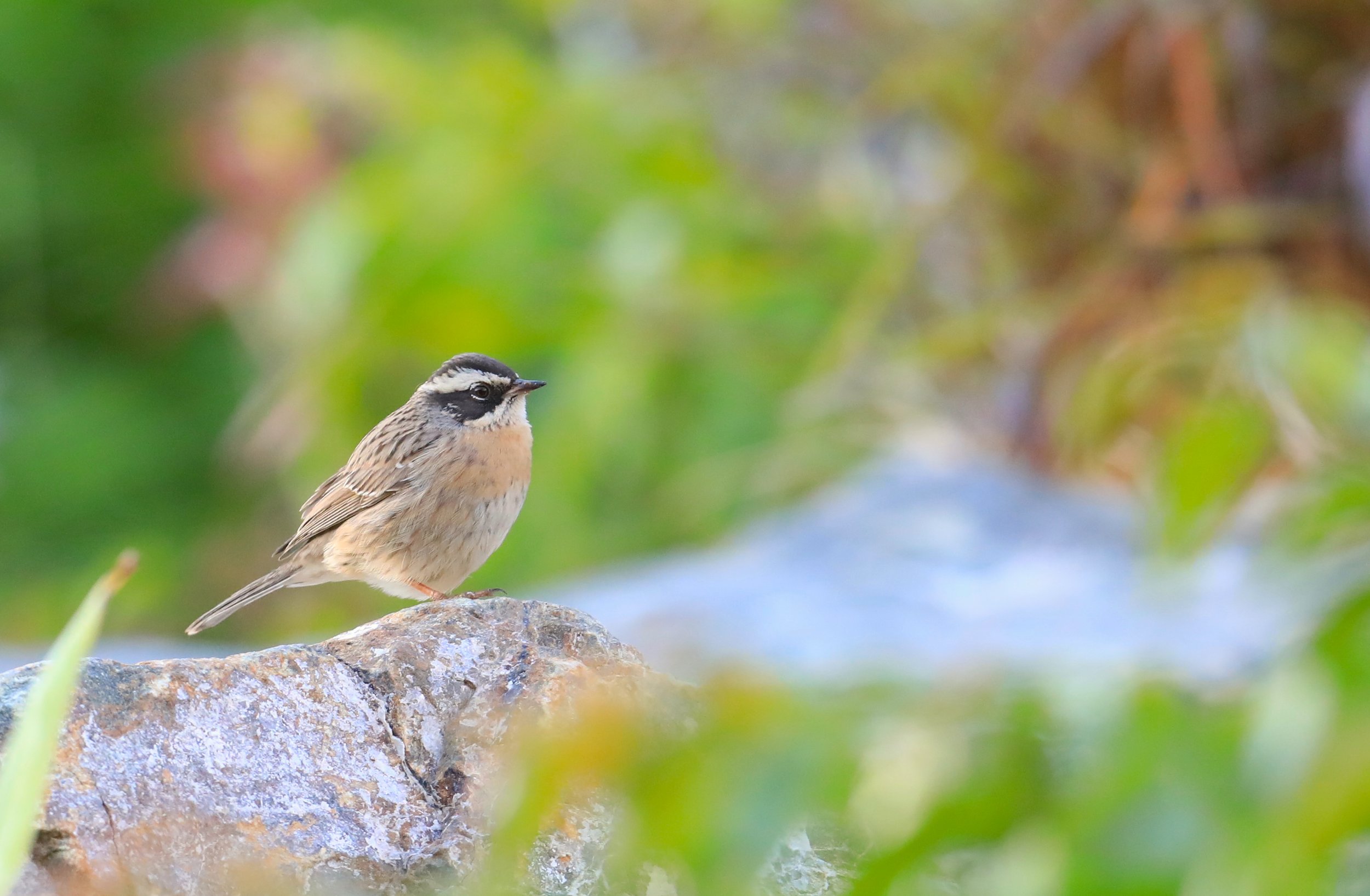 Photo Credit: Paul Kinnock