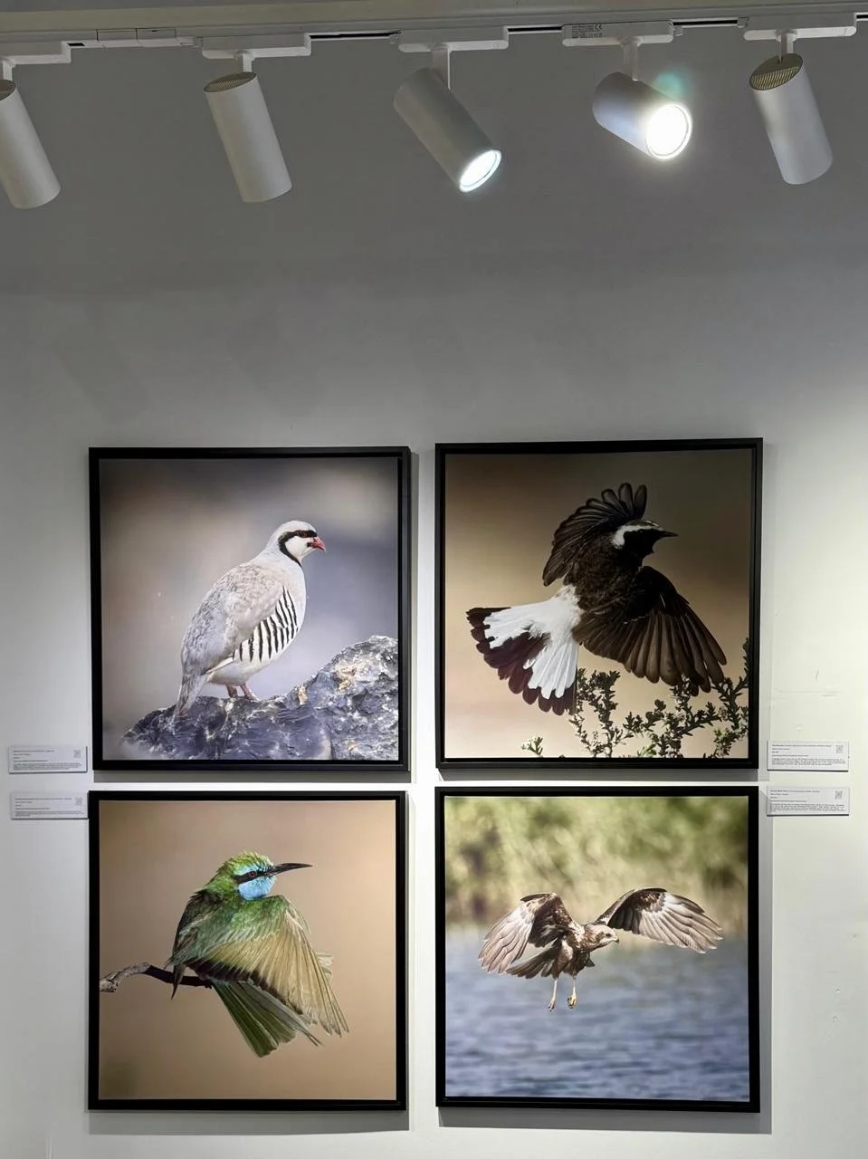 WhatsApp Image 2025-04-27 at 06.59.21.jpeg