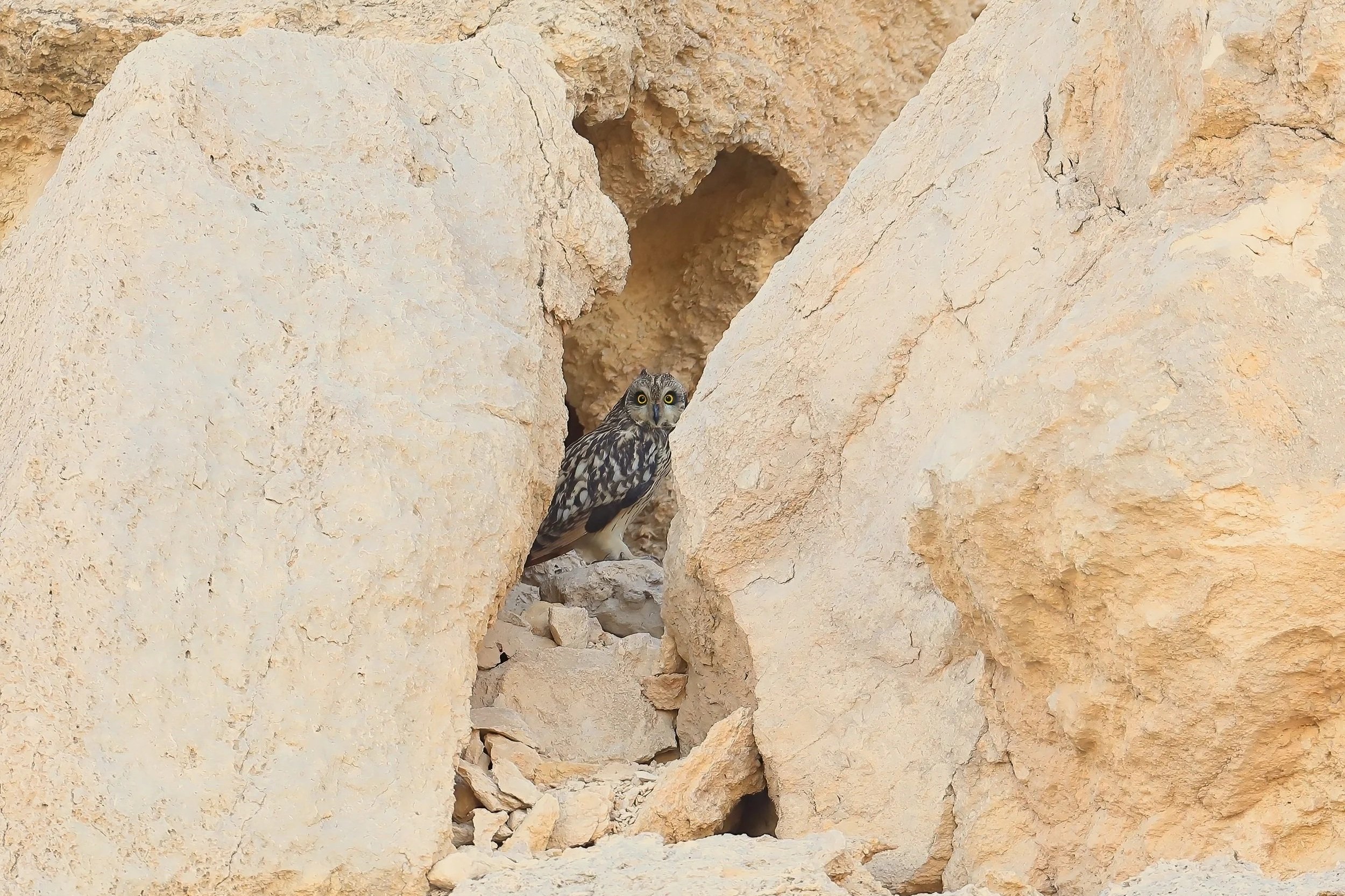 Photo Credit: Paul Kinnock