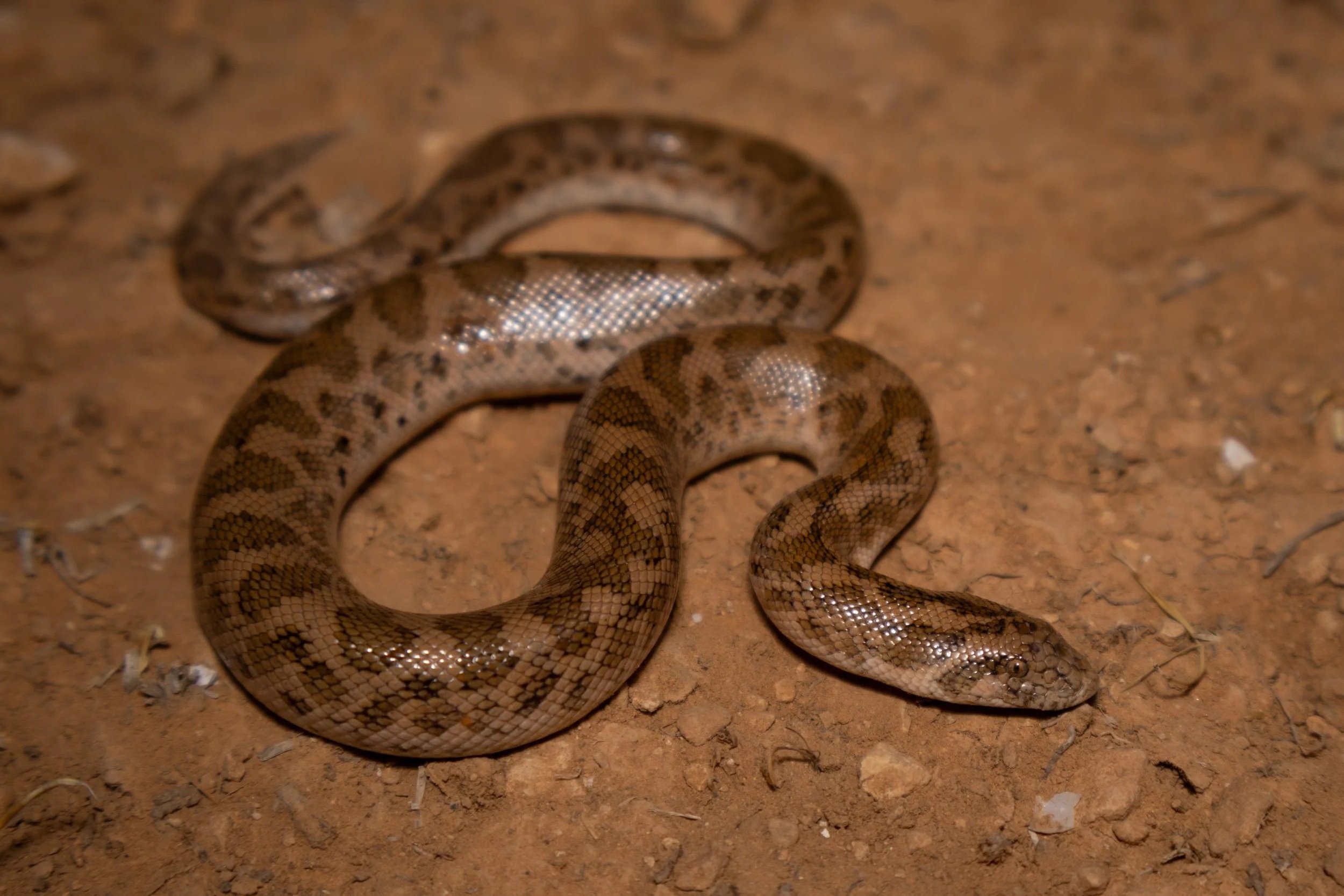 Photo credit: Shady Akl