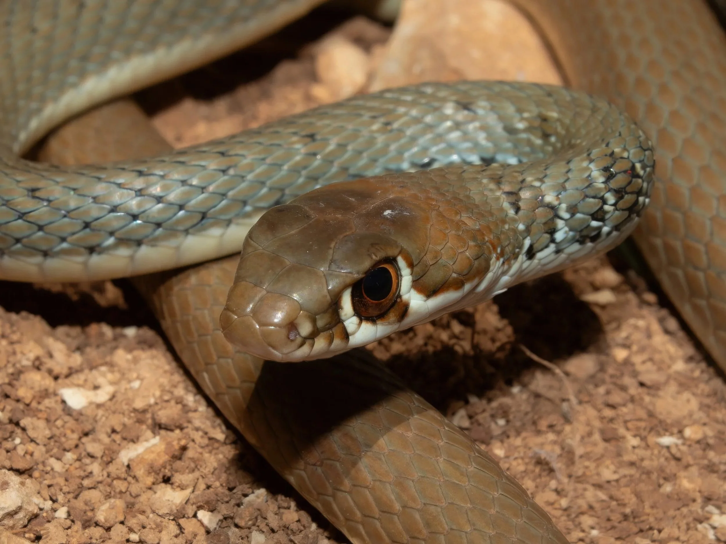 Photo credit: Shady Akl