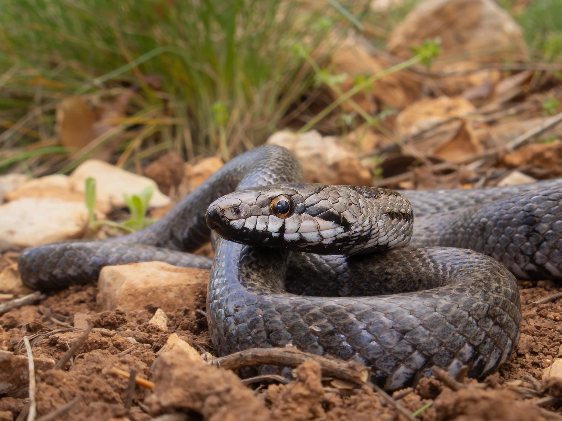 Photo credit: Shady Akl