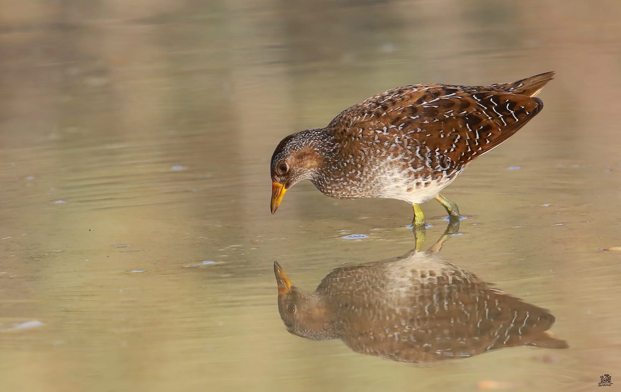 Photo Credit: Paul Kinnock