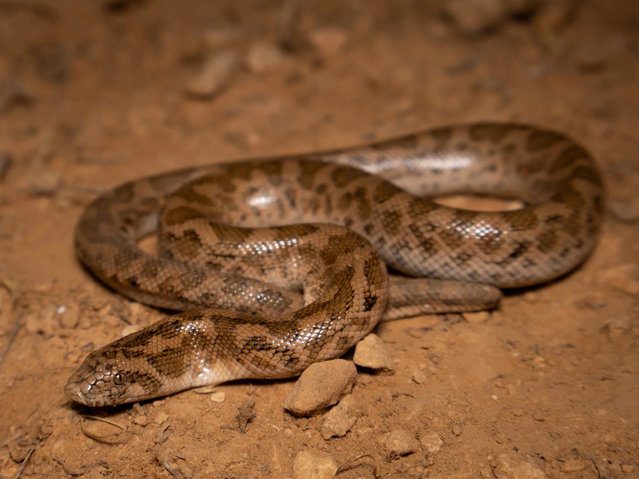 Photo credit: Shady Akl