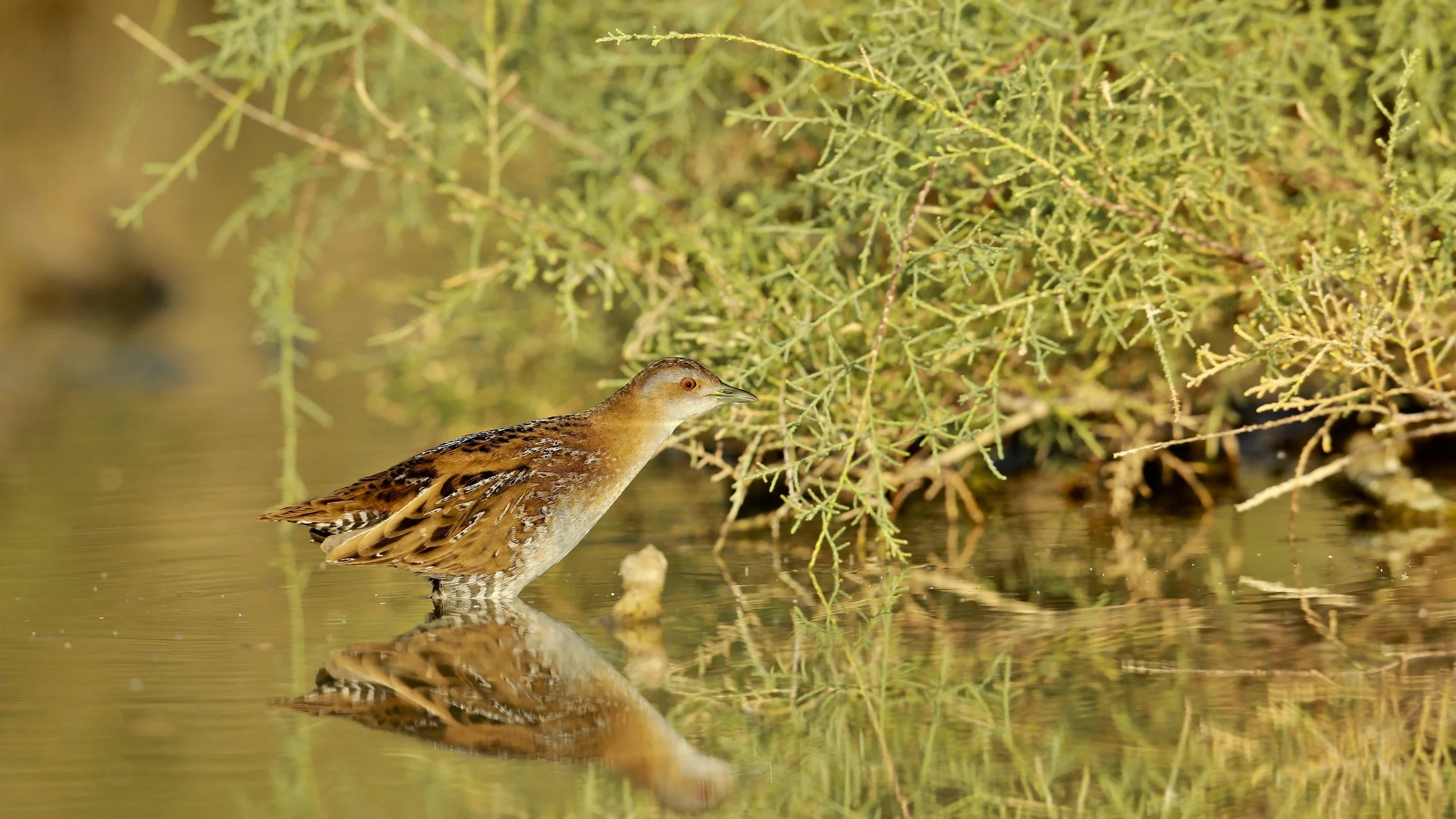 Photo Credit: Paul Kinnock