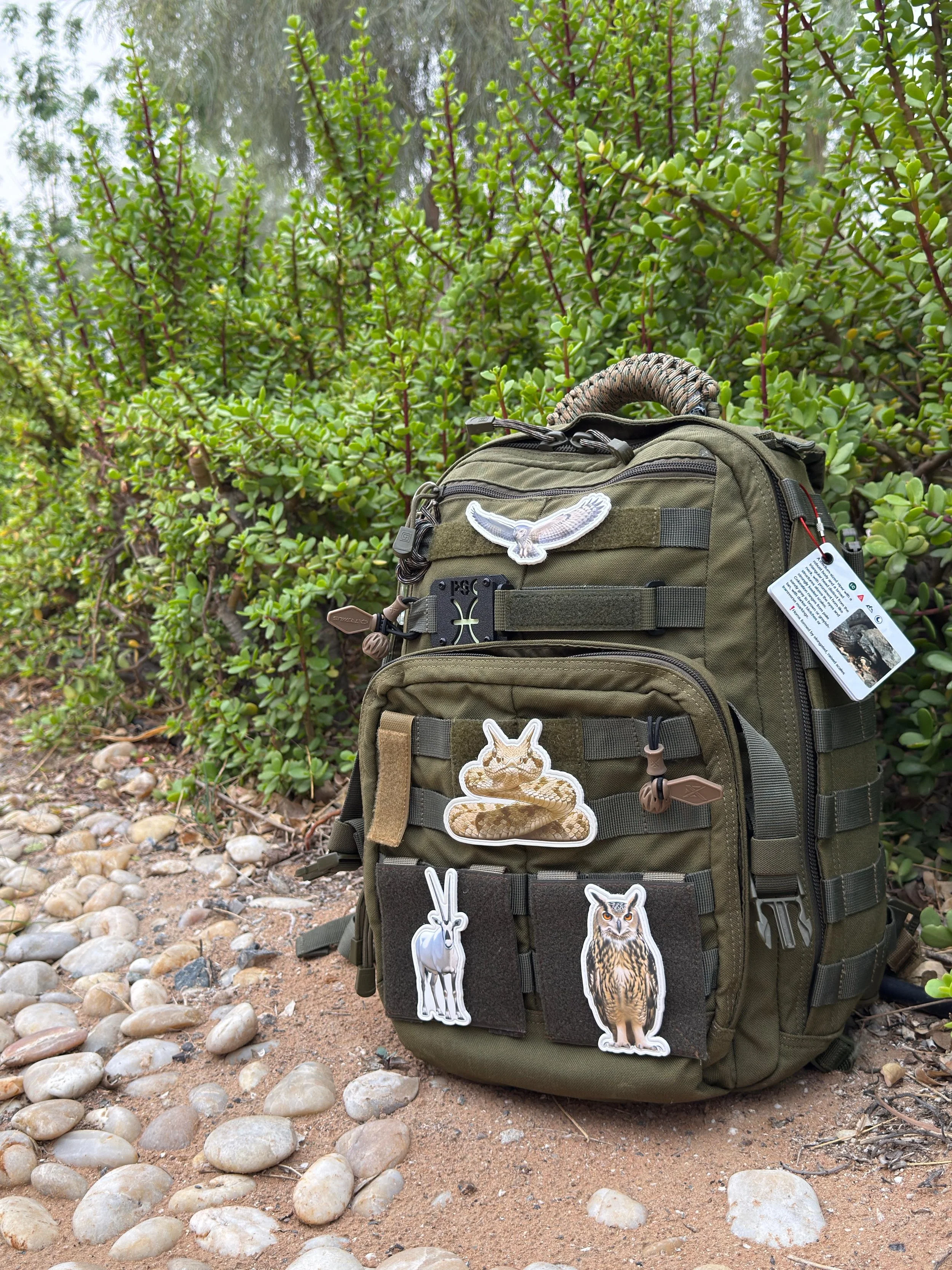 WhatsApp Image 2026-03-19 at 13.30.35 (15).jpeg