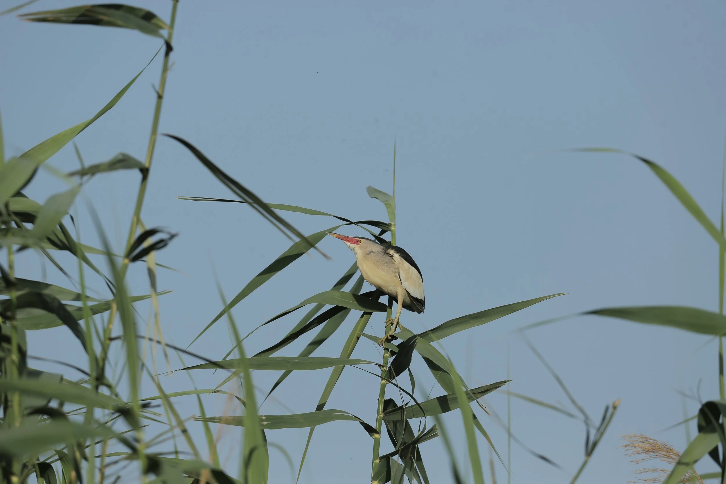 Photo Credit: Paul Kinnock