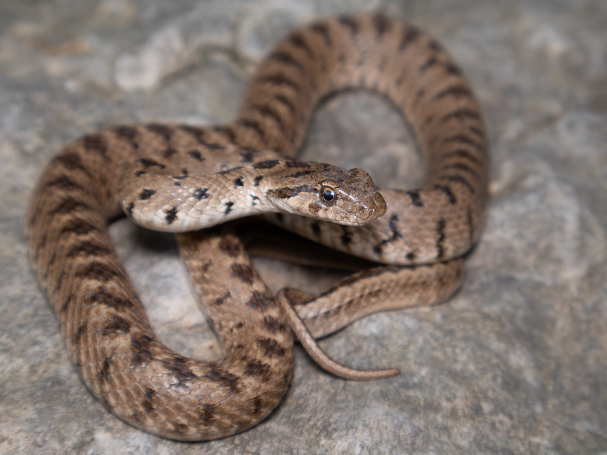 Photo credit: Shady Akl