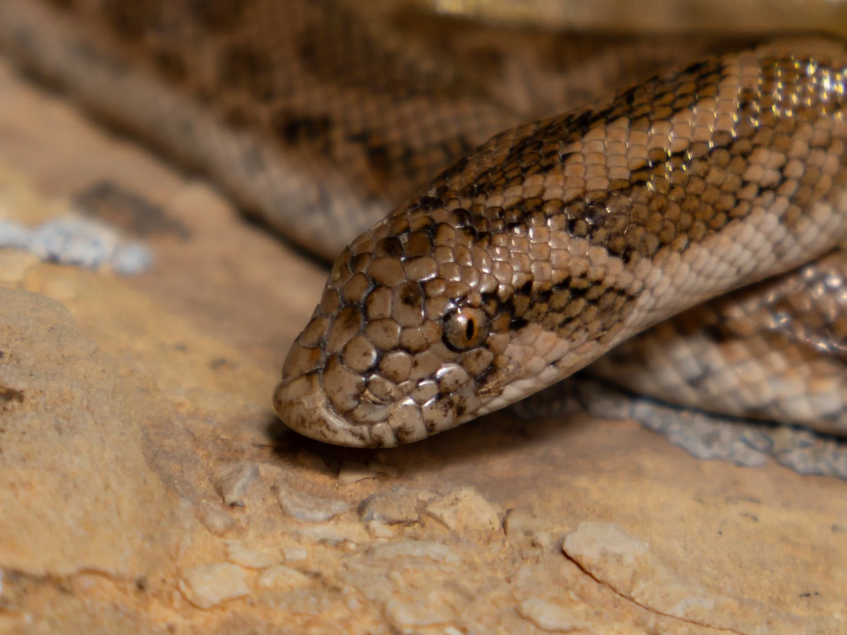 Photo credit: Shady Akl