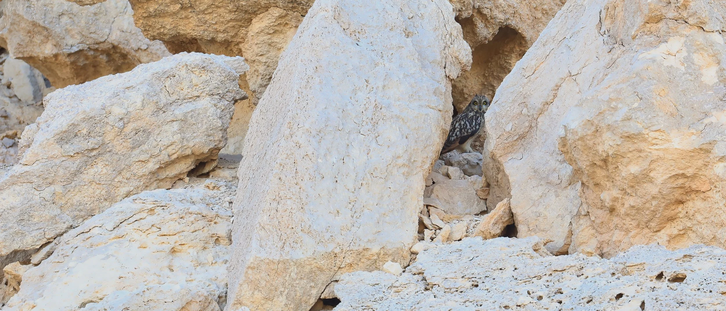 Photo Credit: Paul Kinnock