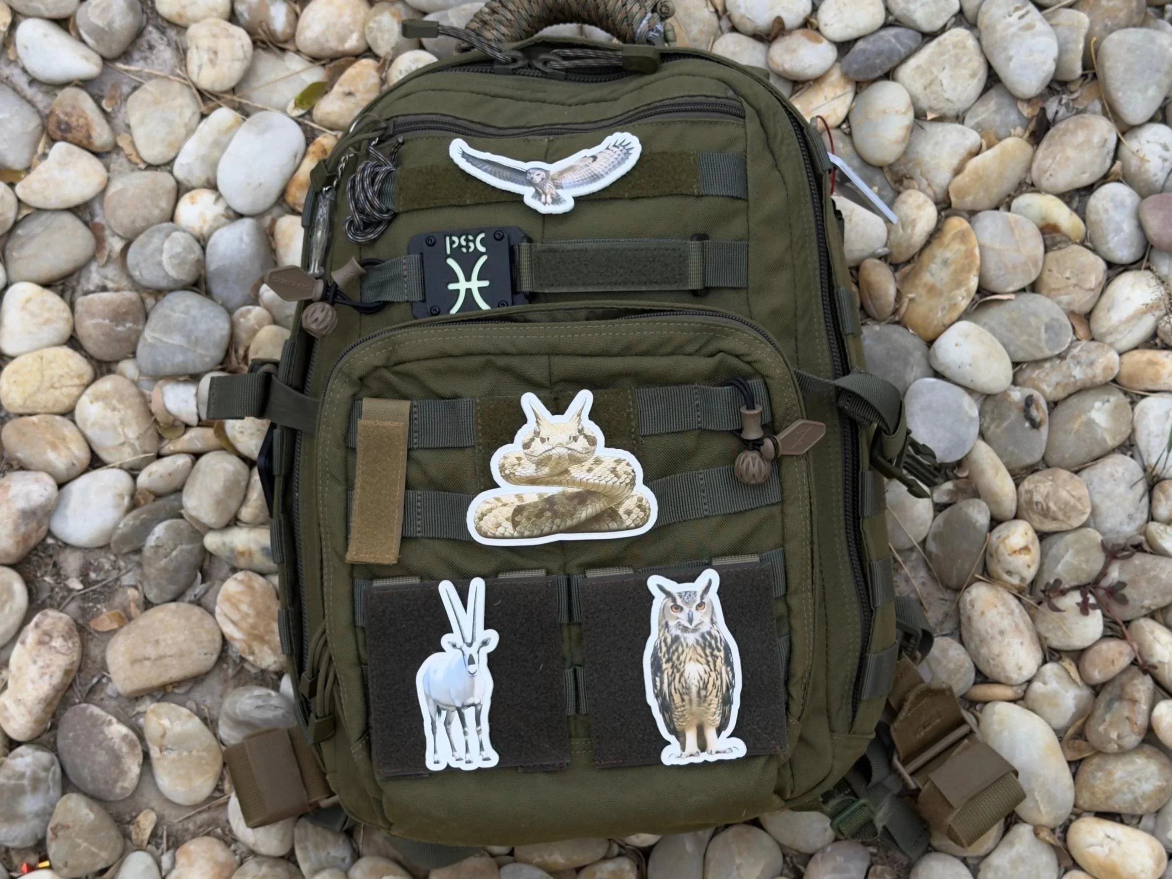 WhatsApp+Image+2026-03-19+at+13.30.35+%2818%29.jpg (Copy)