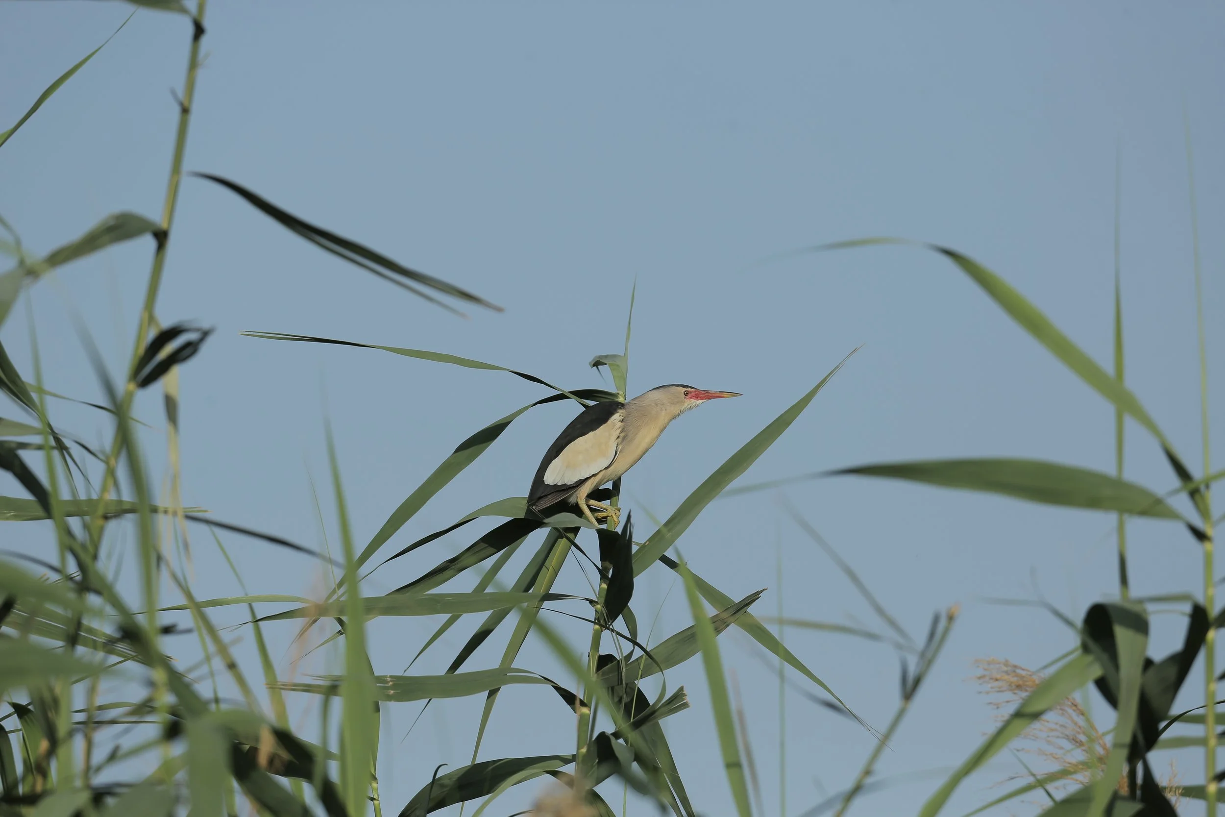 Photo Credit: Paul Kinnock