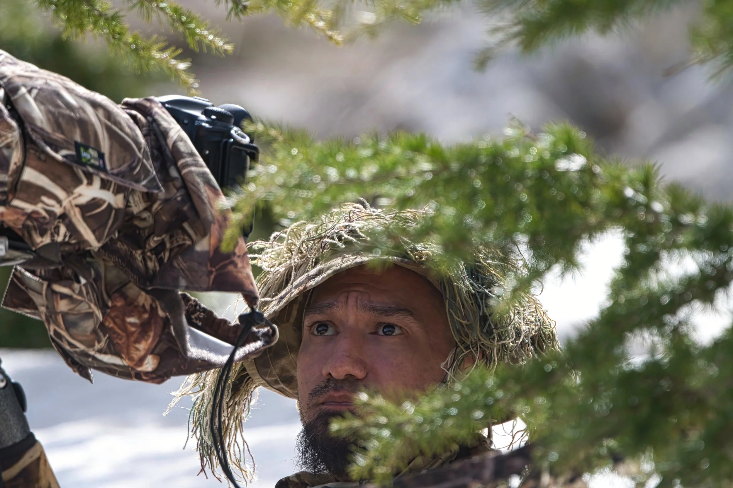 Using Camouflage for wildlife photography