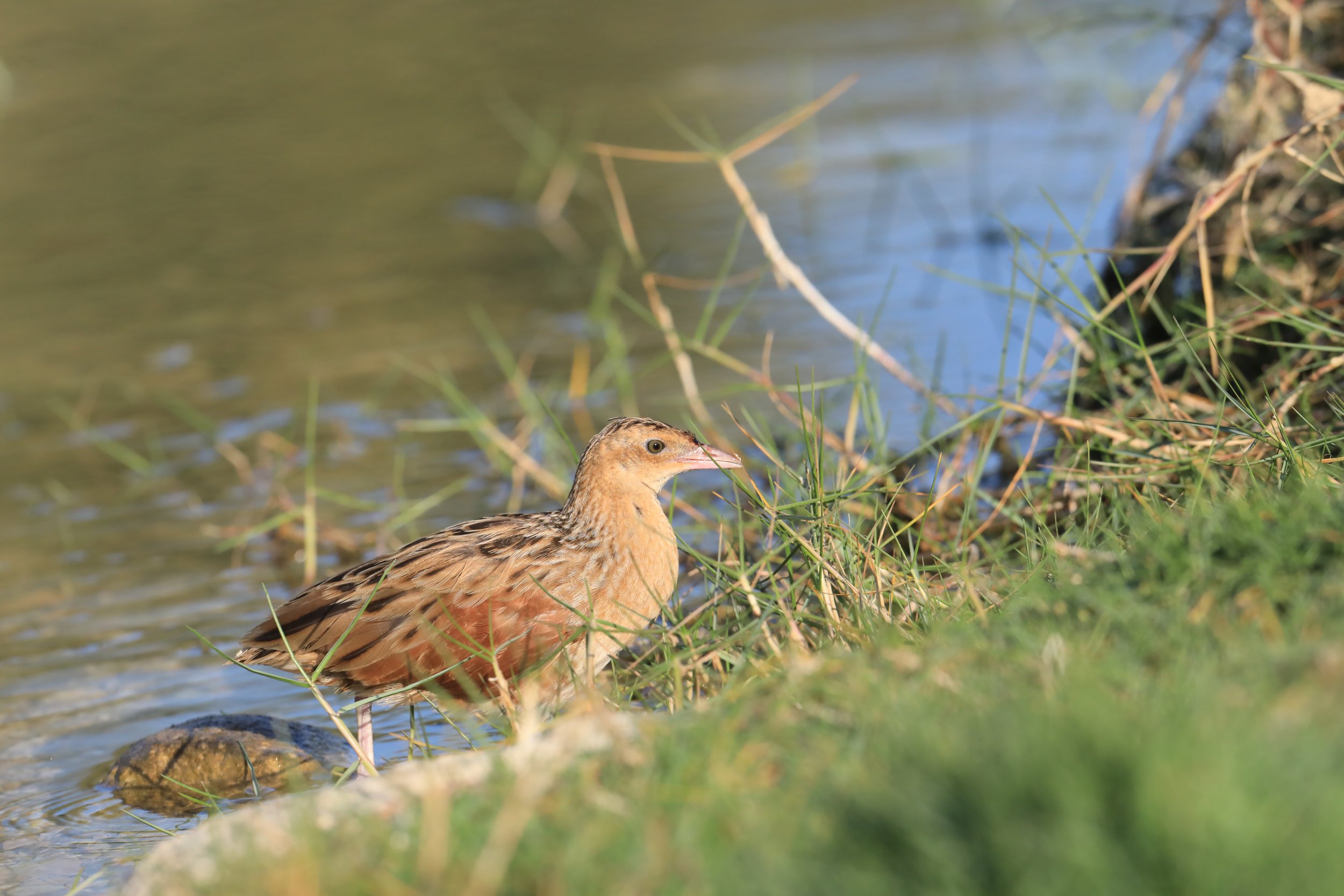 Photo Credit: Paul Kinnock