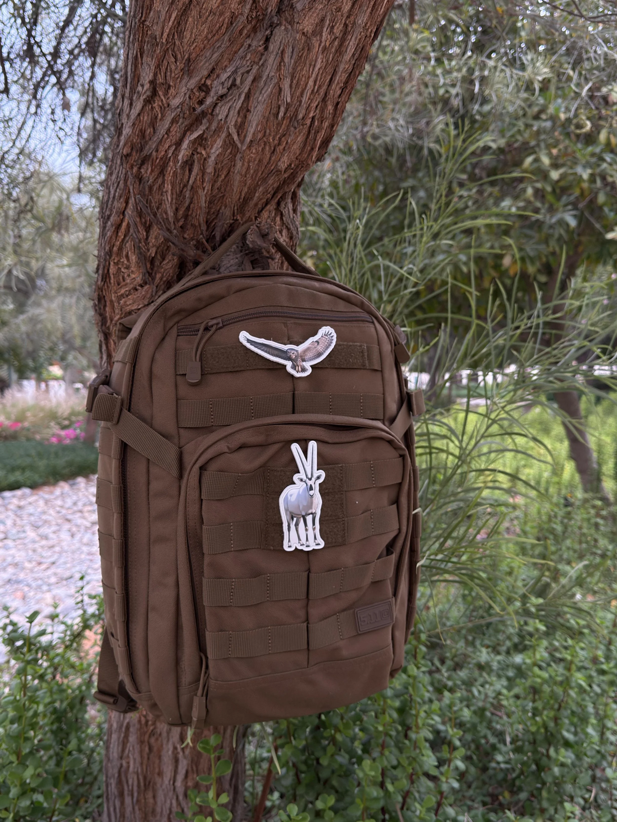 WhatsApp Image 2026-03-19 at 13.30.35 (19).jpeg