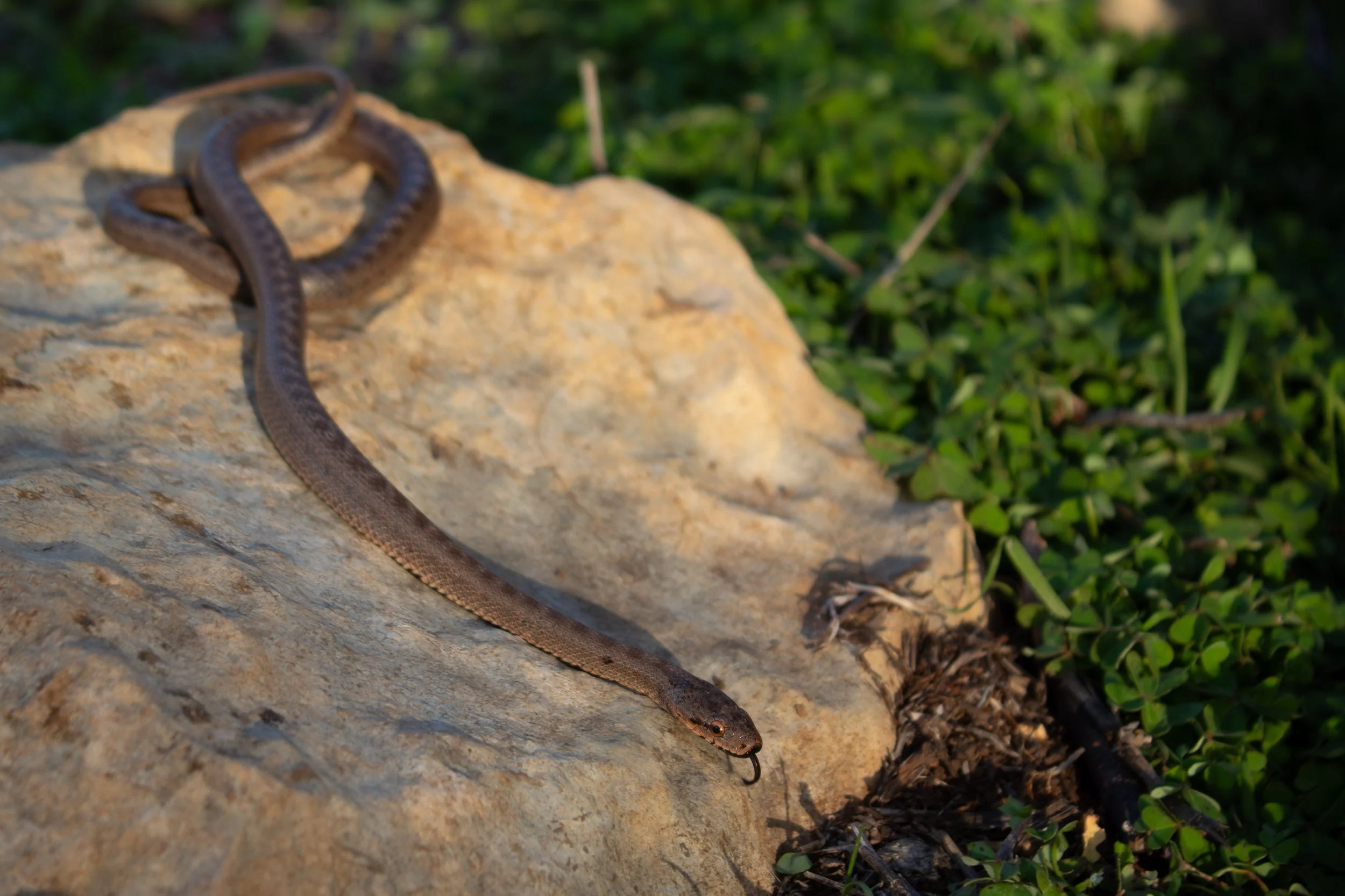 Photo credit: Shady Akl