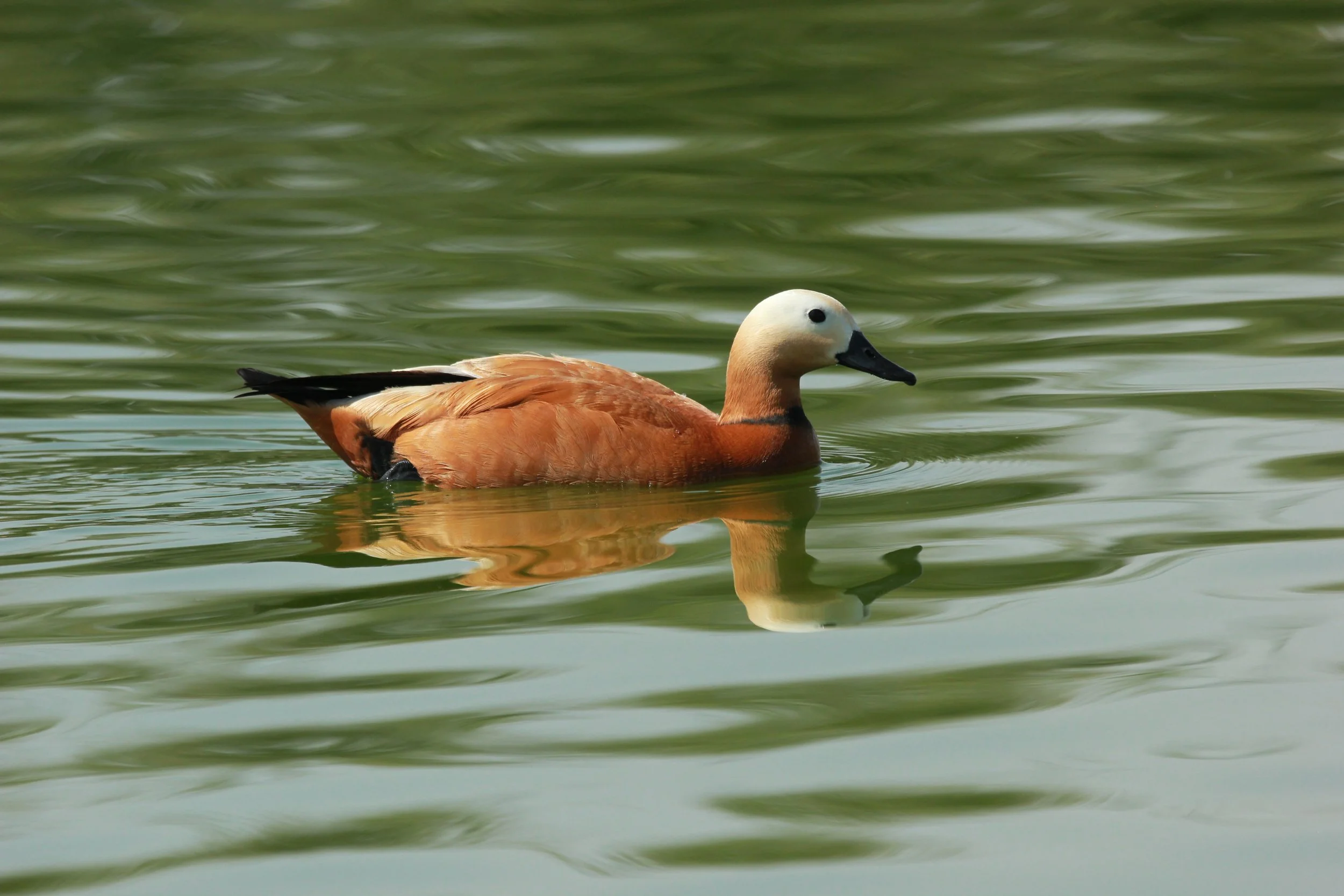 Photo Credit: Paul Kinnock