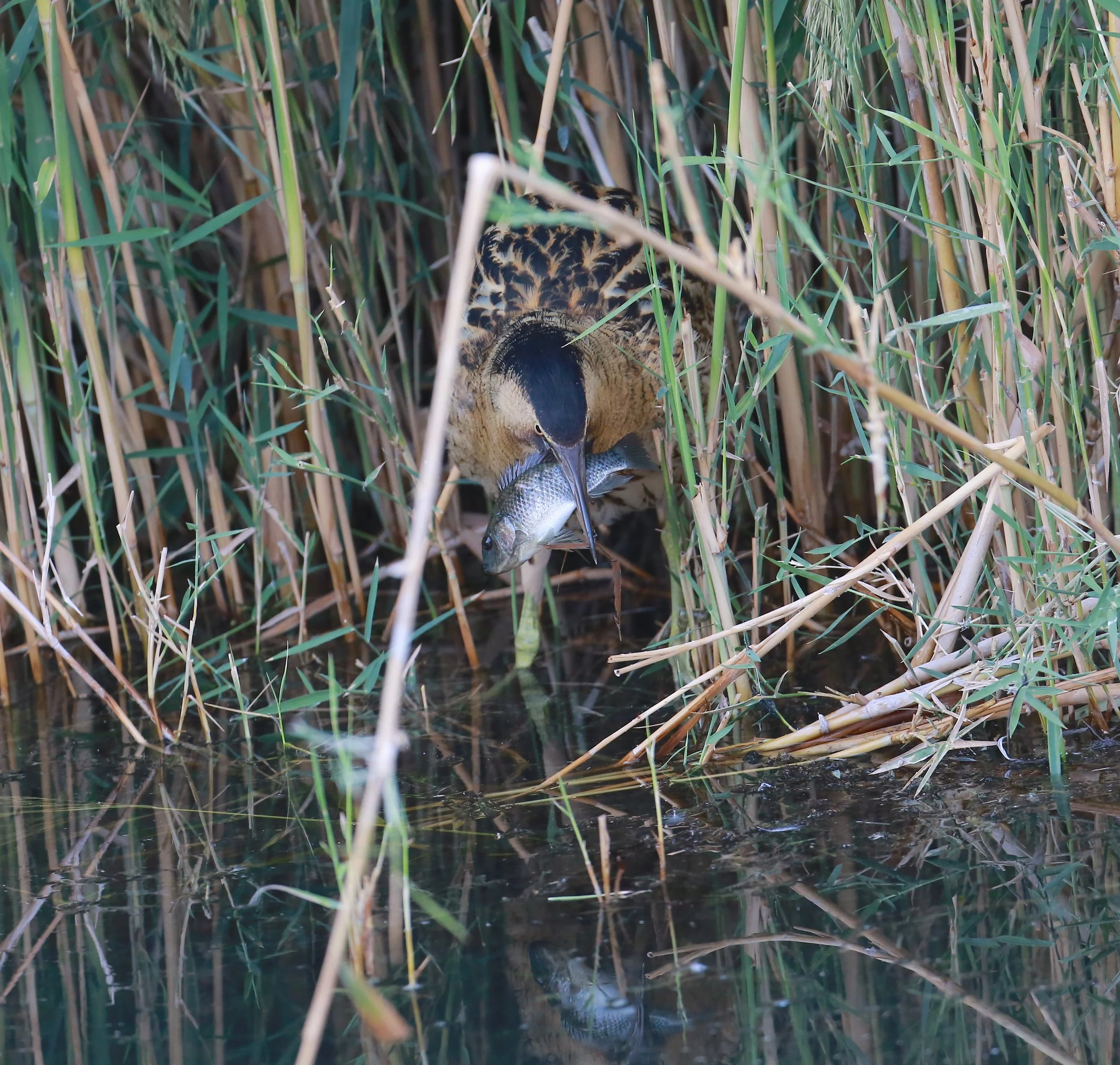 Photo Credit: Paul Kinnock