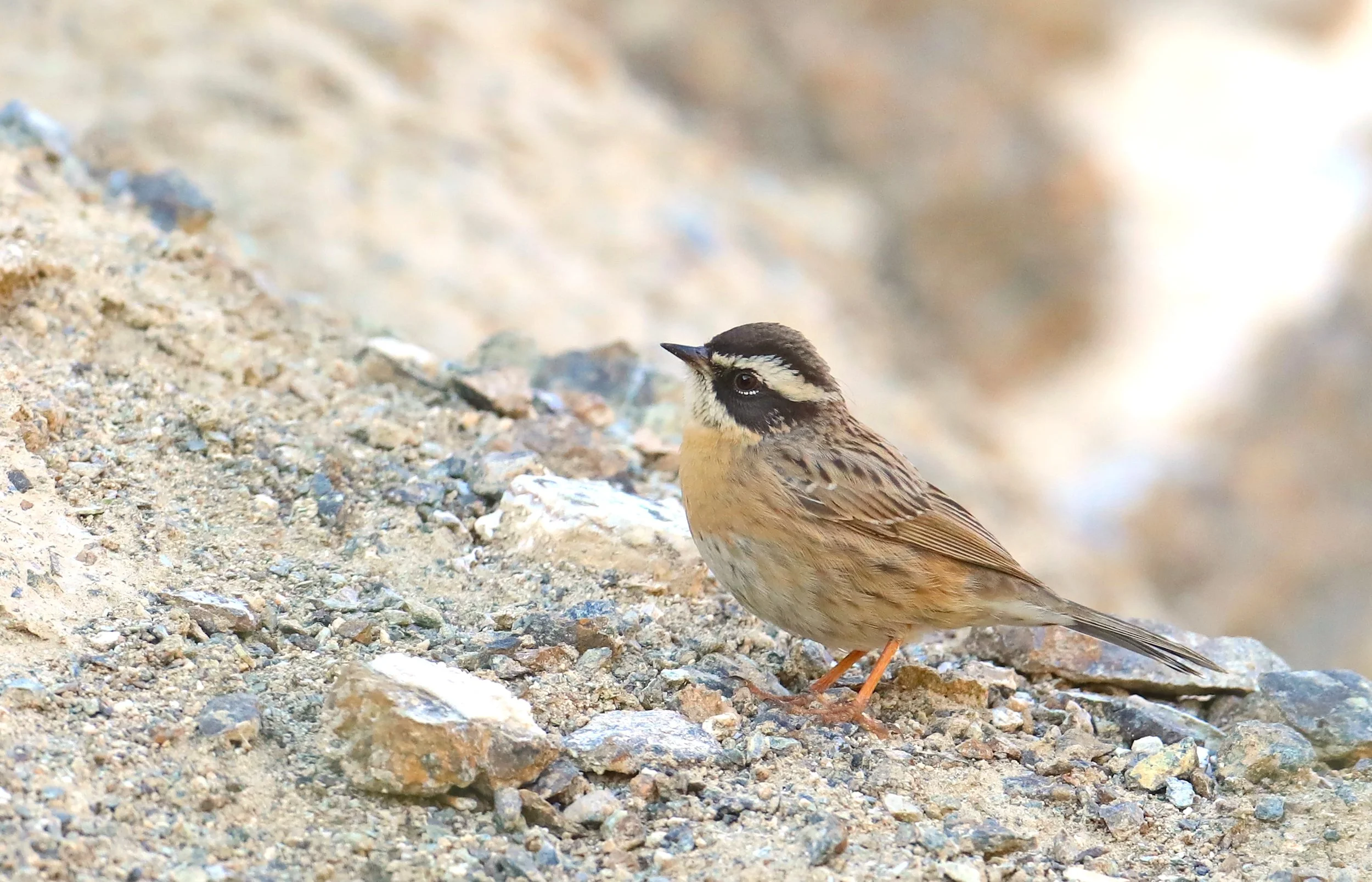 Photo Credit: Paul Kinnock