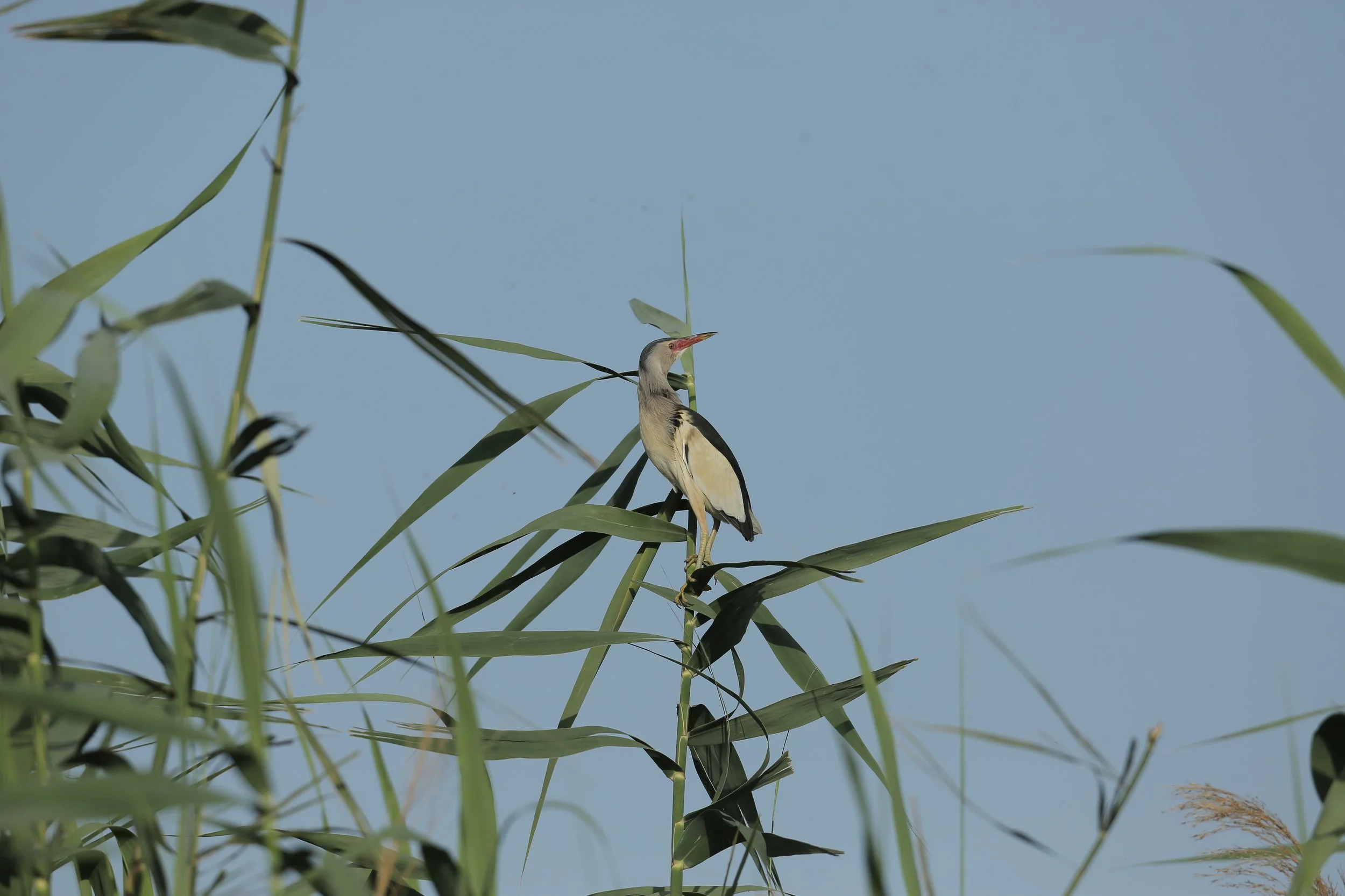 Photo Credit: Paul Kinnock