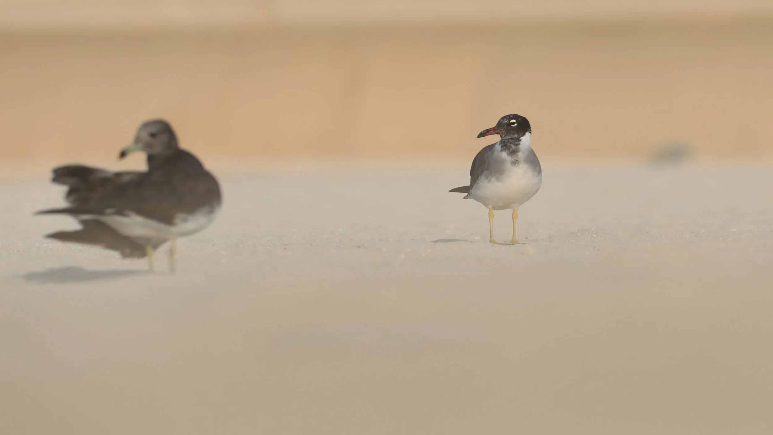 Photo Credit: Paul Kinnock