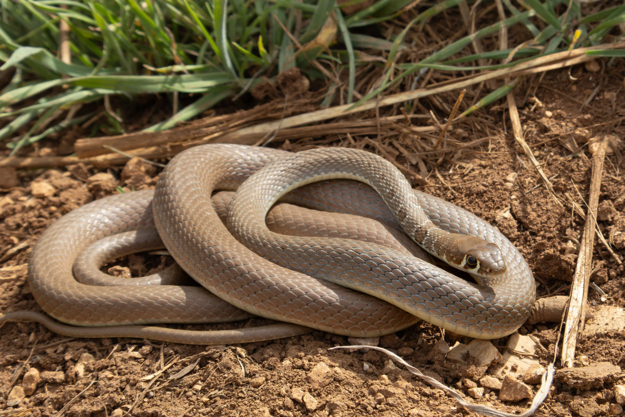 Photo credit: Shady Akl