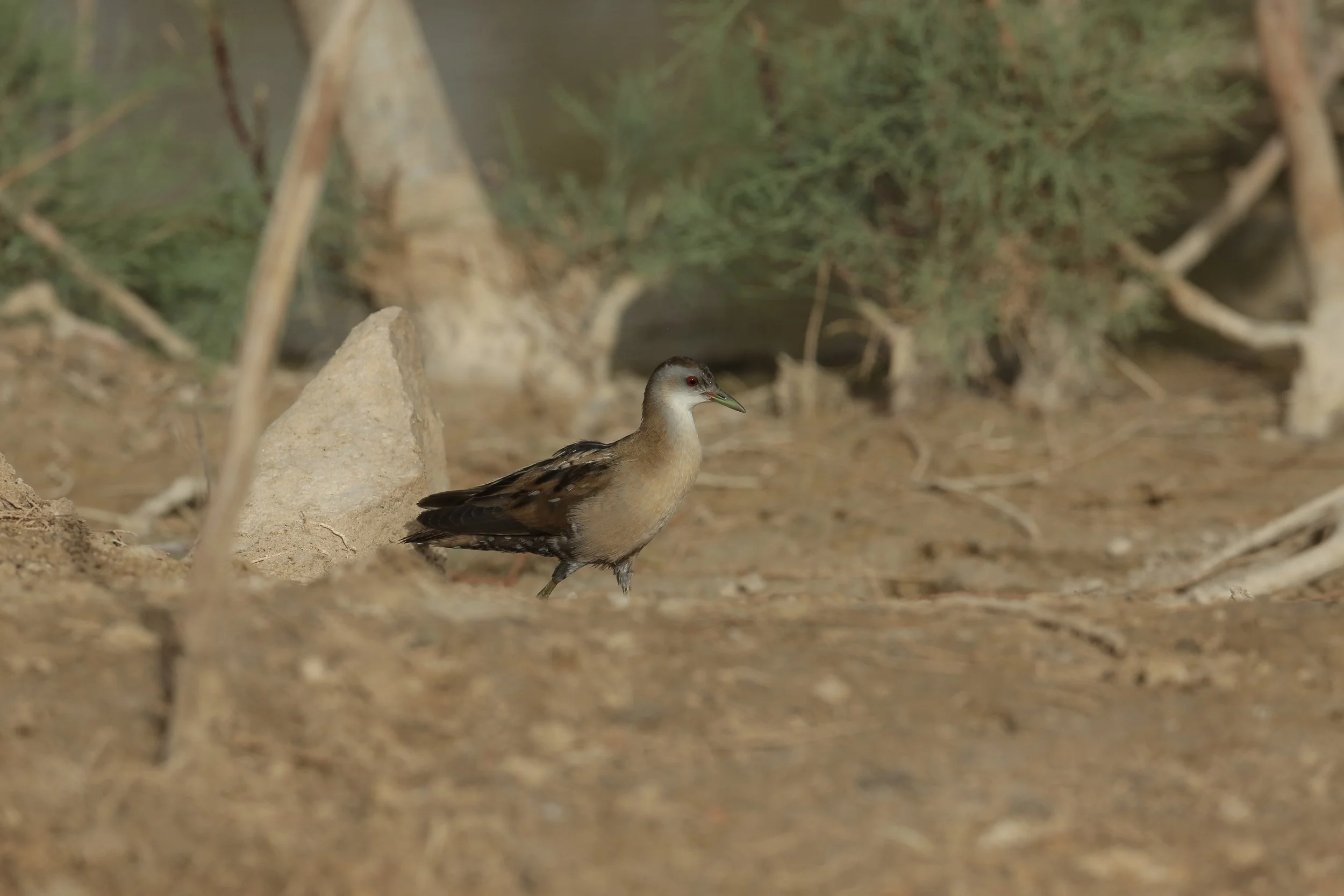 Photo Credit: Paul Kinnock