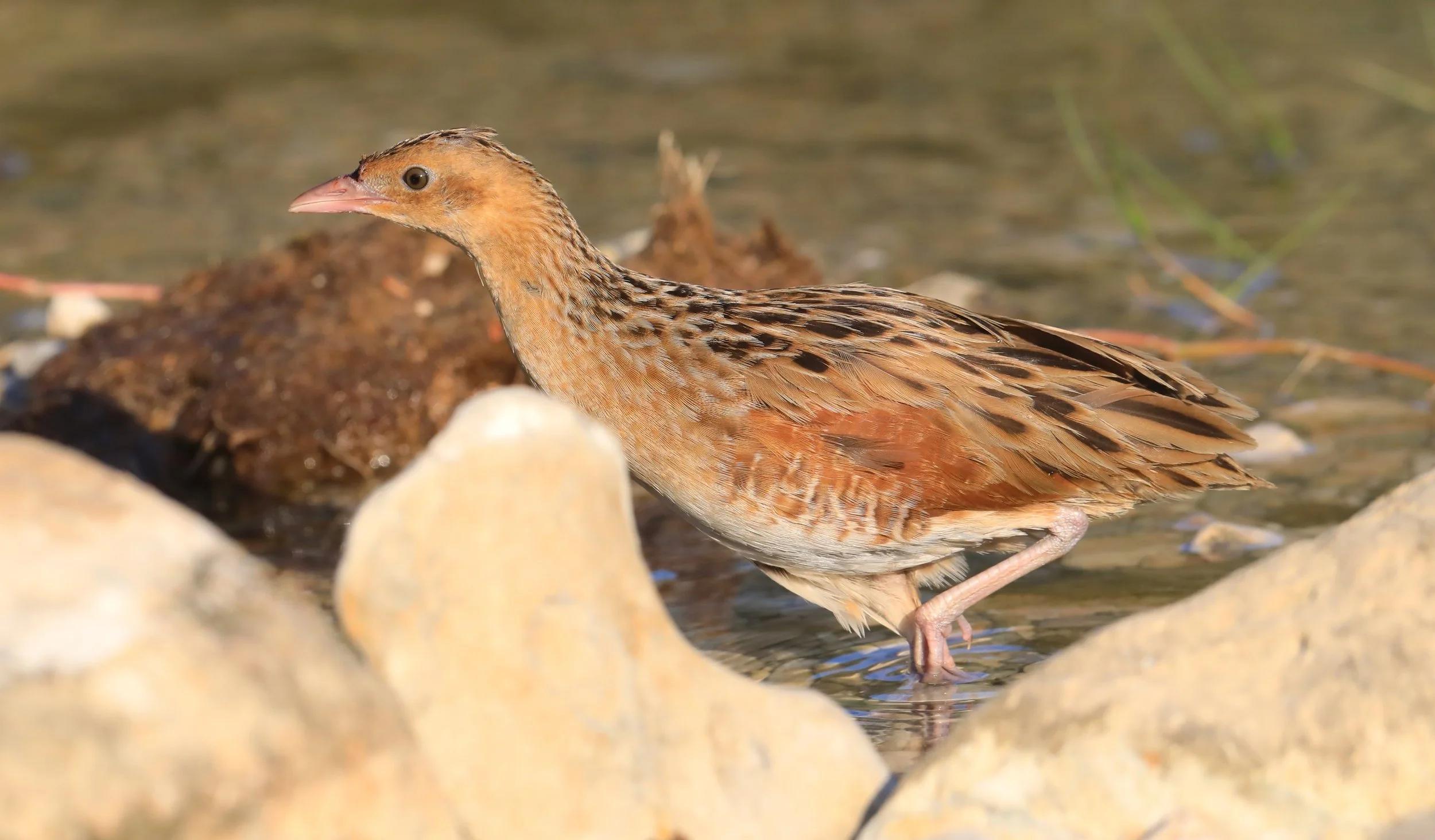 Photo Credit: Paul Kinnock