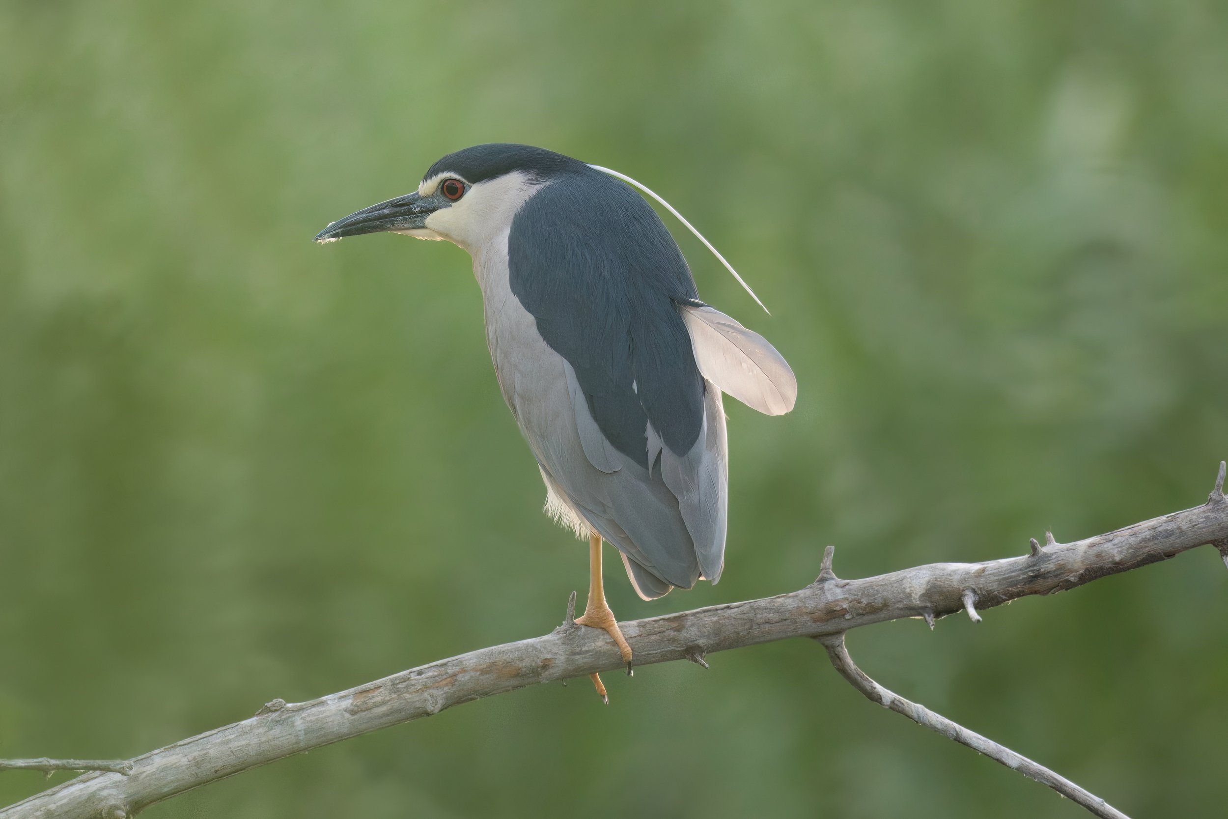 850_7004-topaz-denoise-sharpen.jpeg
