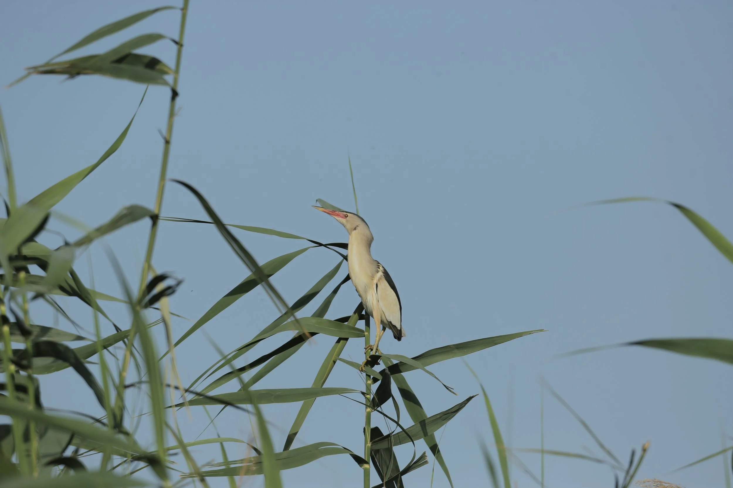 Photo Credit: Paul Kinnock