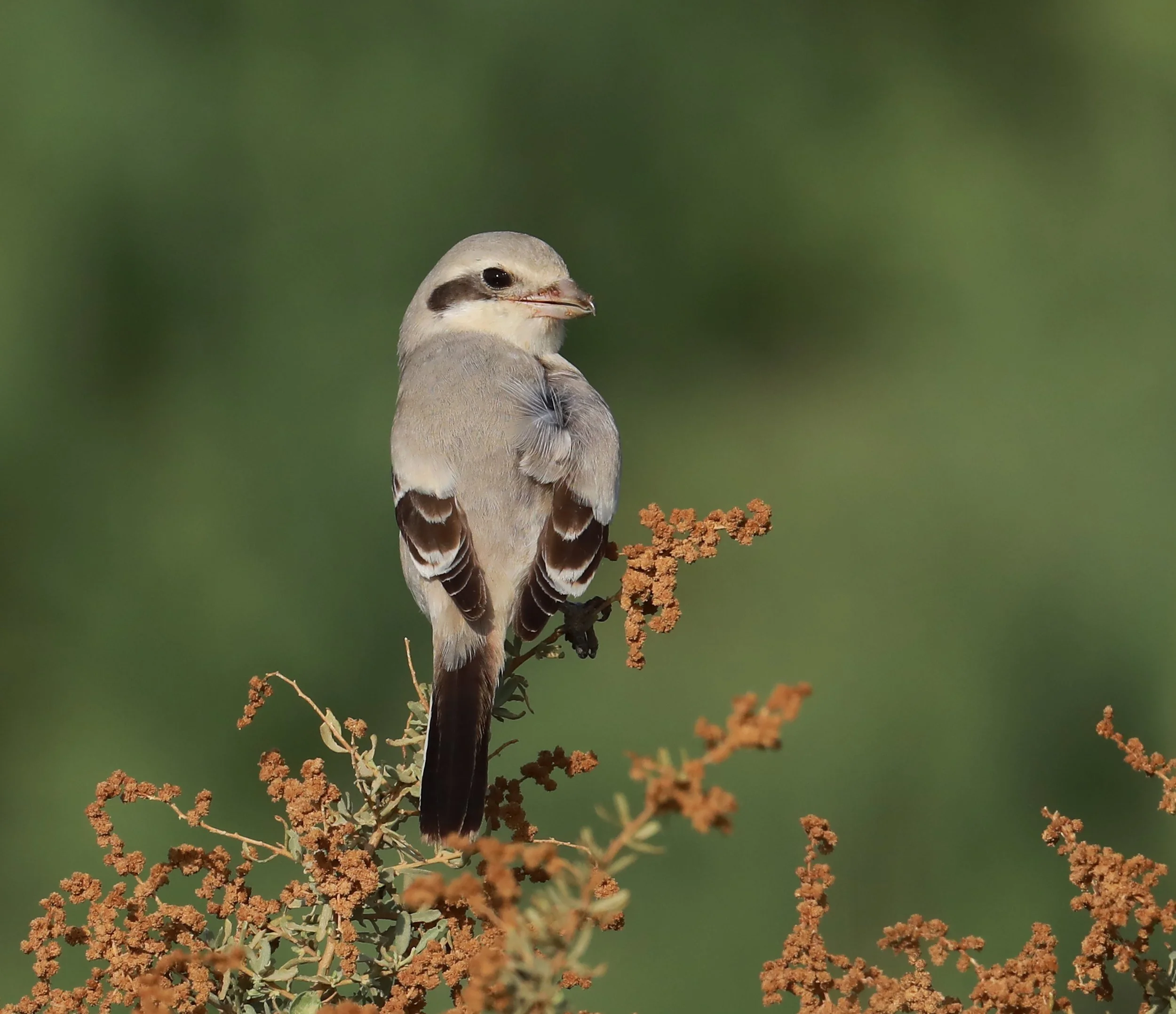 Photo Credit: Paul Kinnock