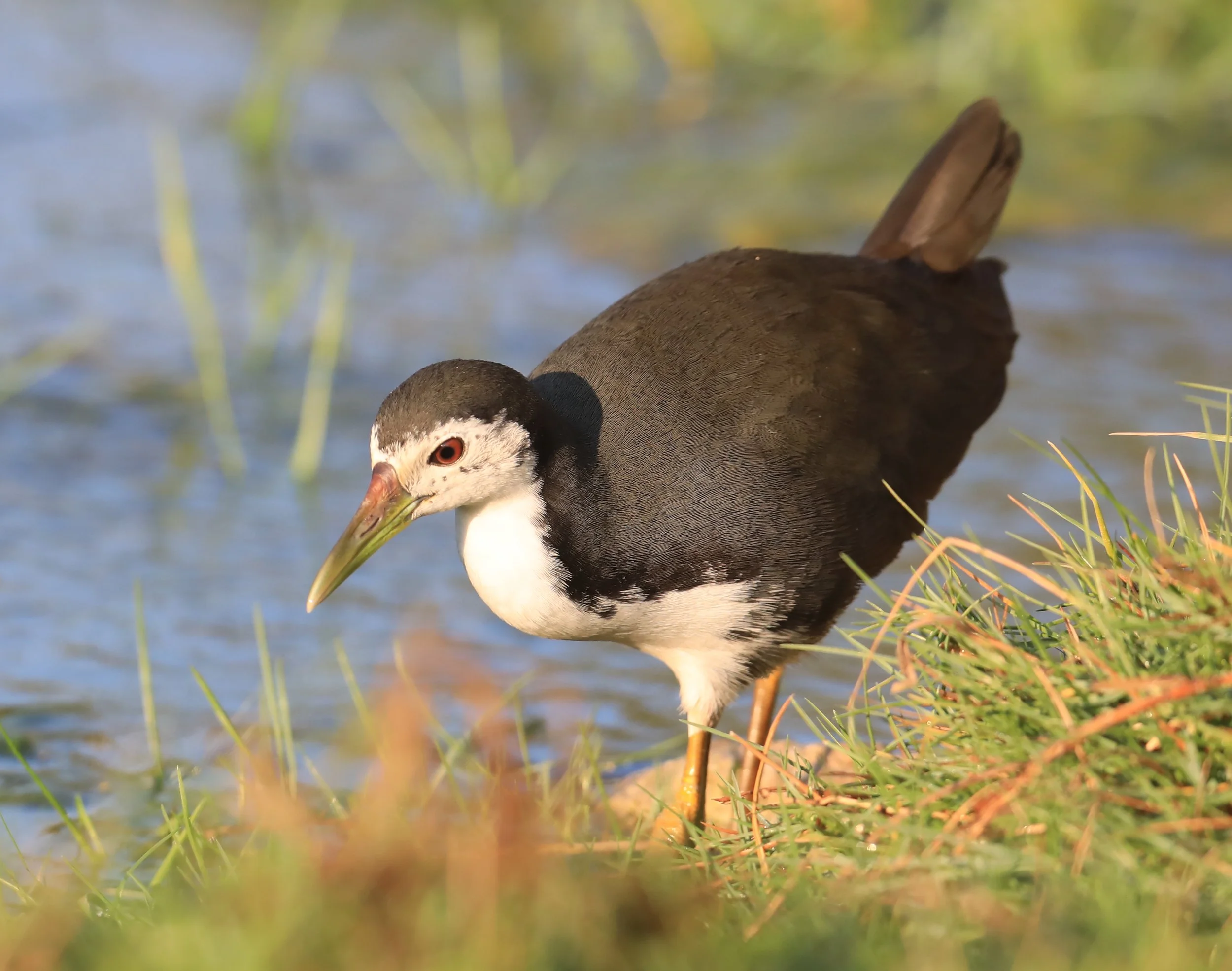 Photo Credit: Paul Kinnock