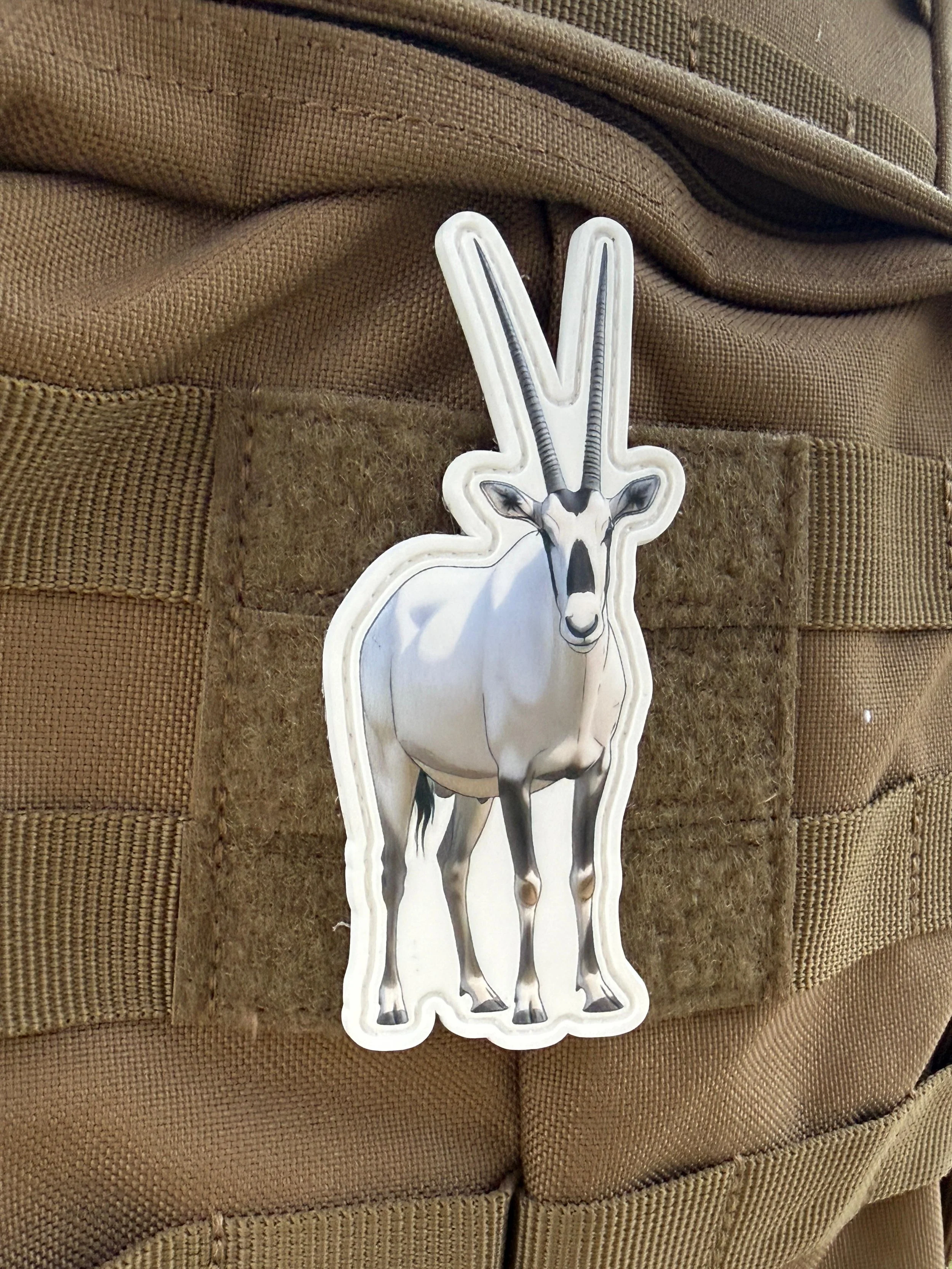 WhatsApp Image 2026-03-19 at 13.30.35 (21).jpeg