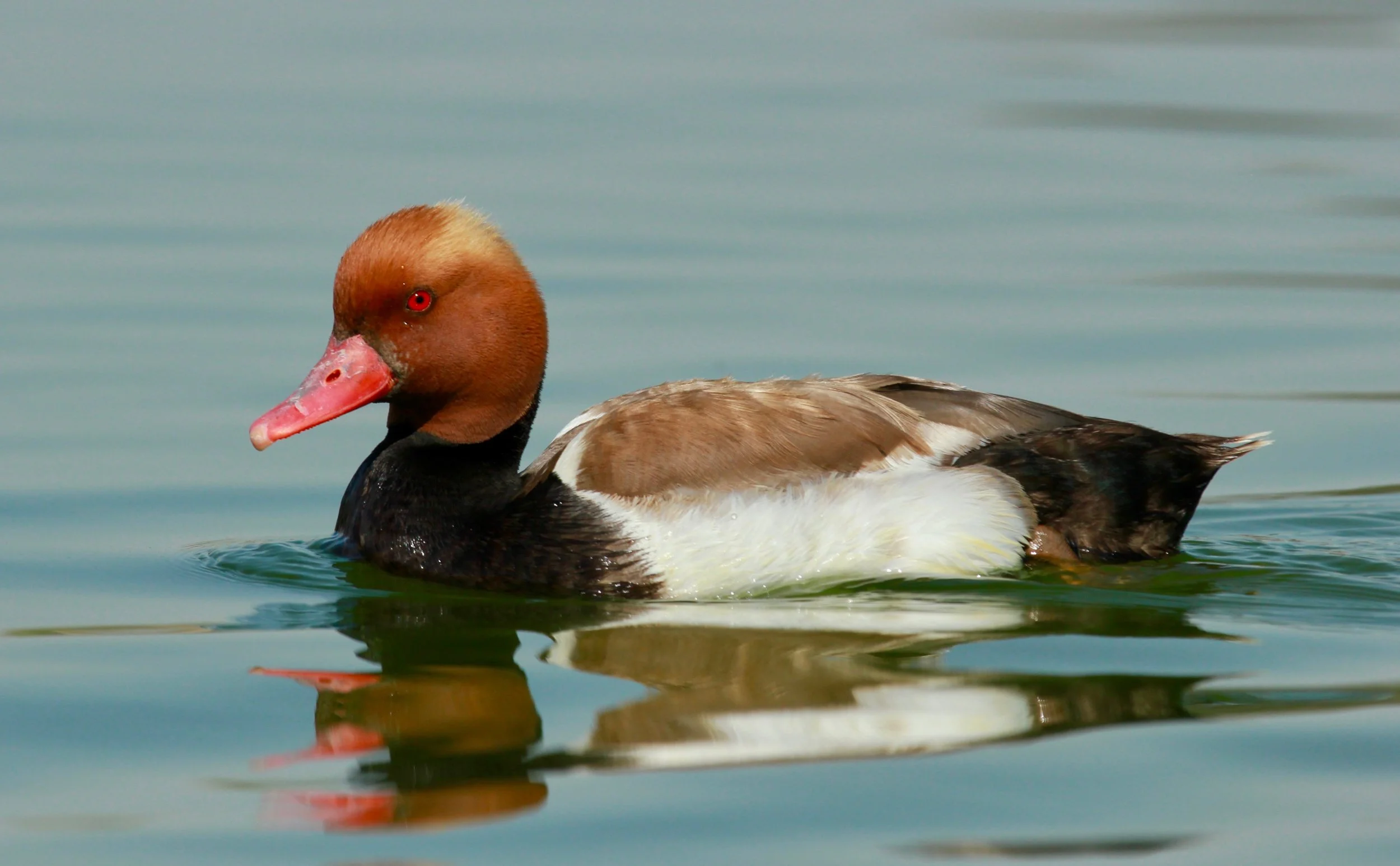 Photo Credit: Paul Kinnock