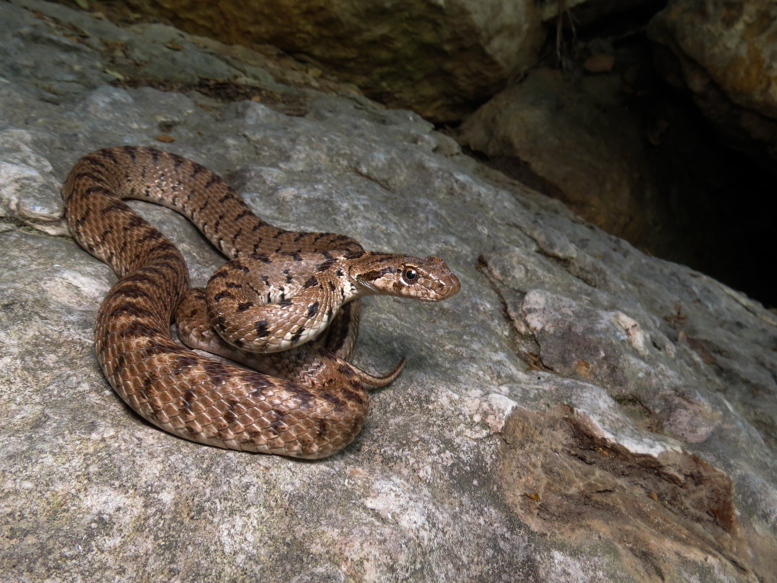 Photo credit : Jad Mershed