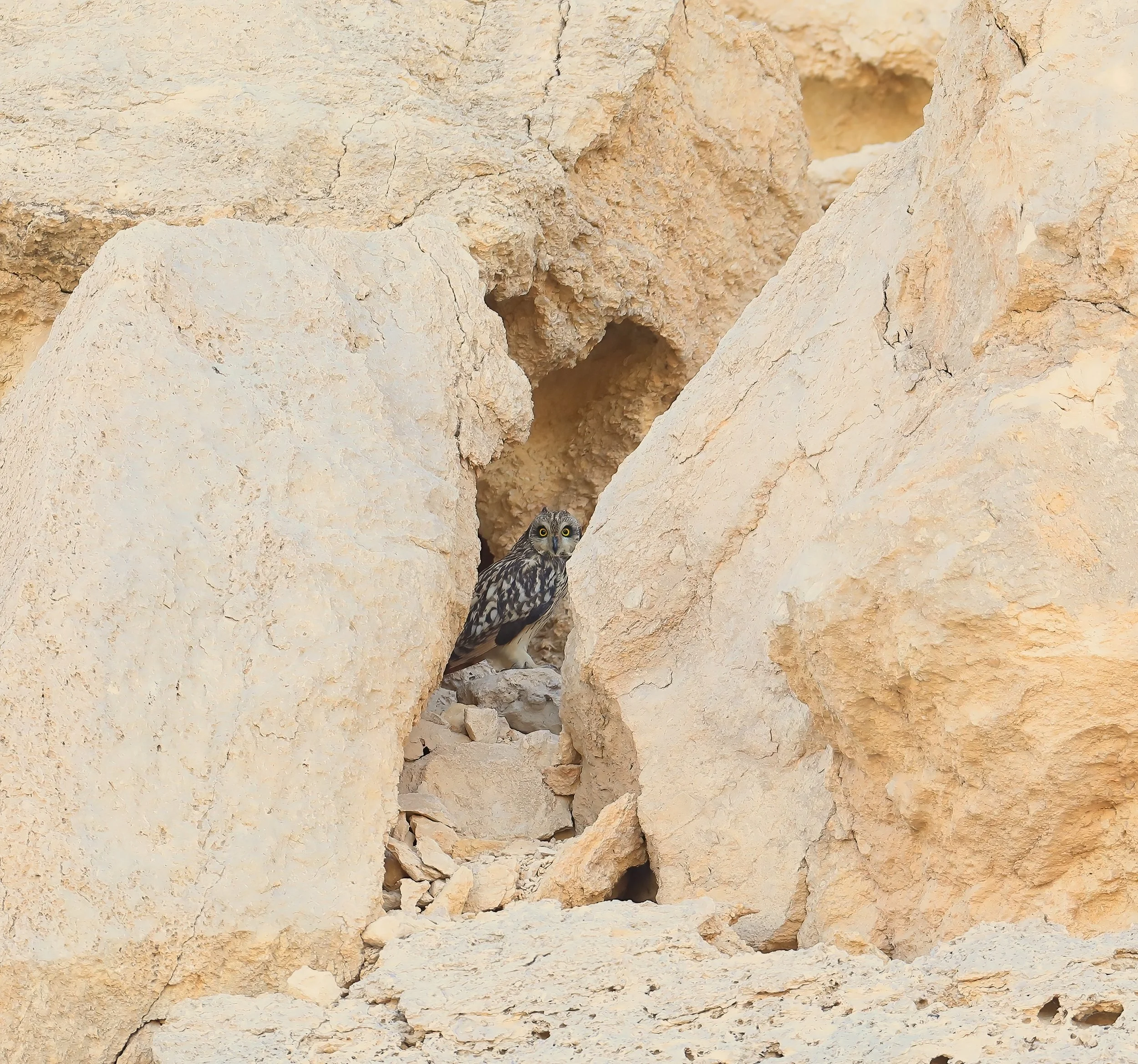 Photo Credit: Paul Kinnock