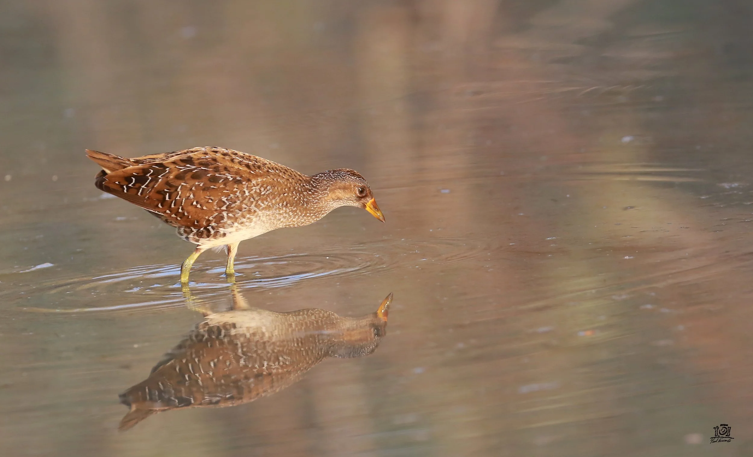 Photo Credit: Paul Kinnock