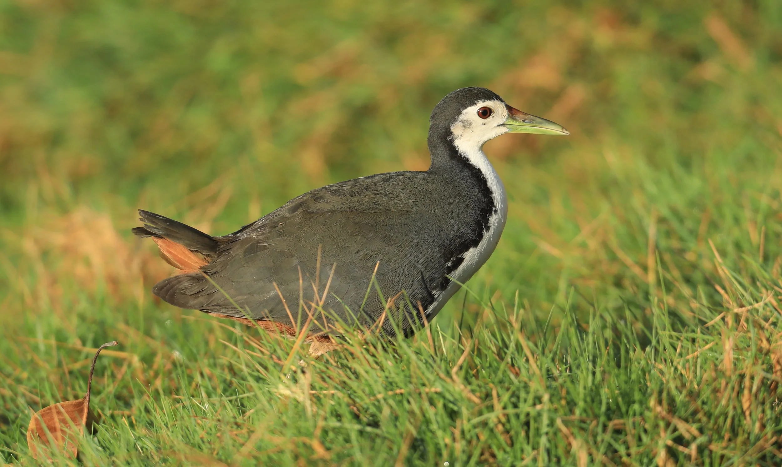 Photo Credit: Paul Kinnock